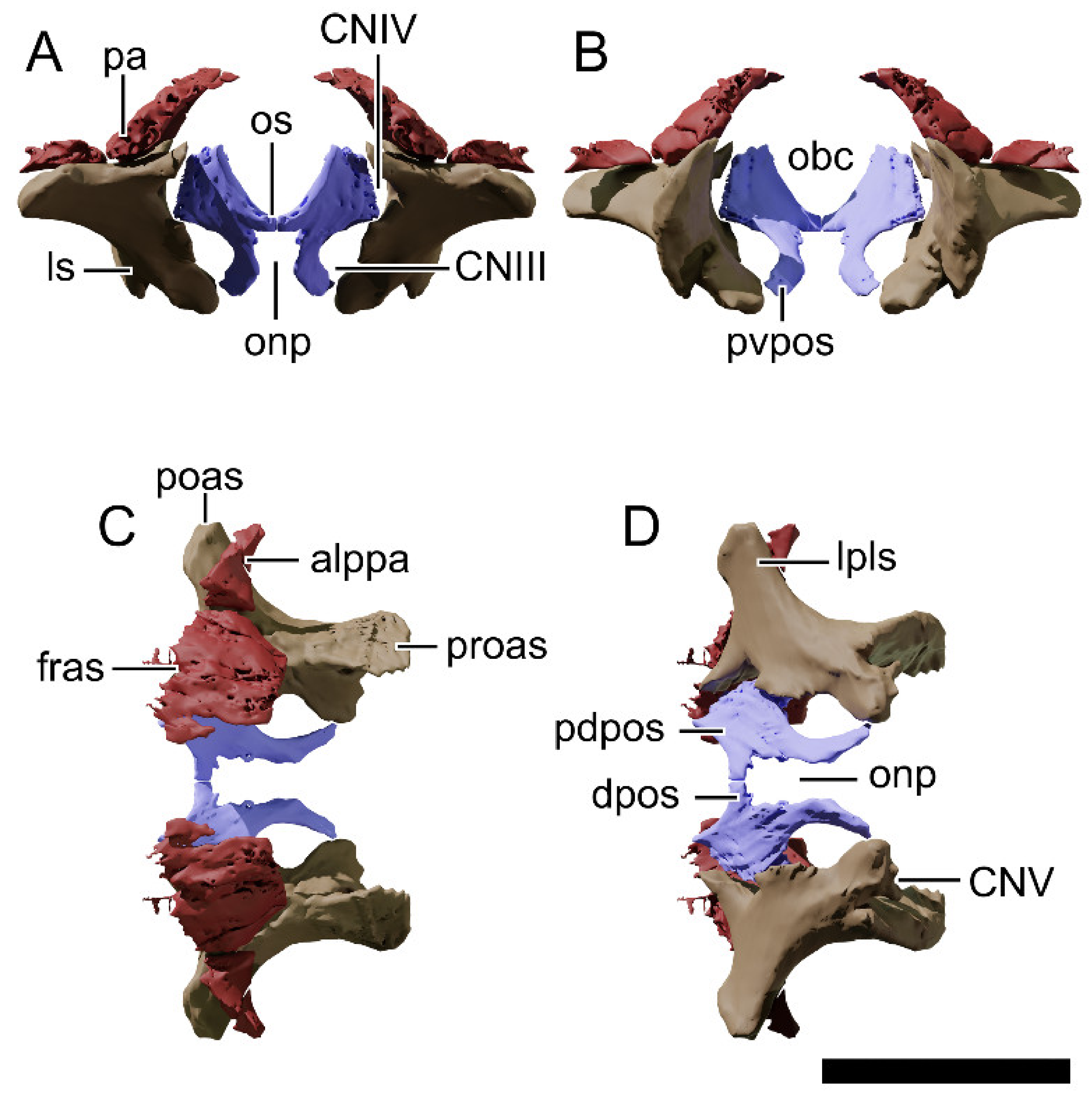 Diversity 13 00561 g022