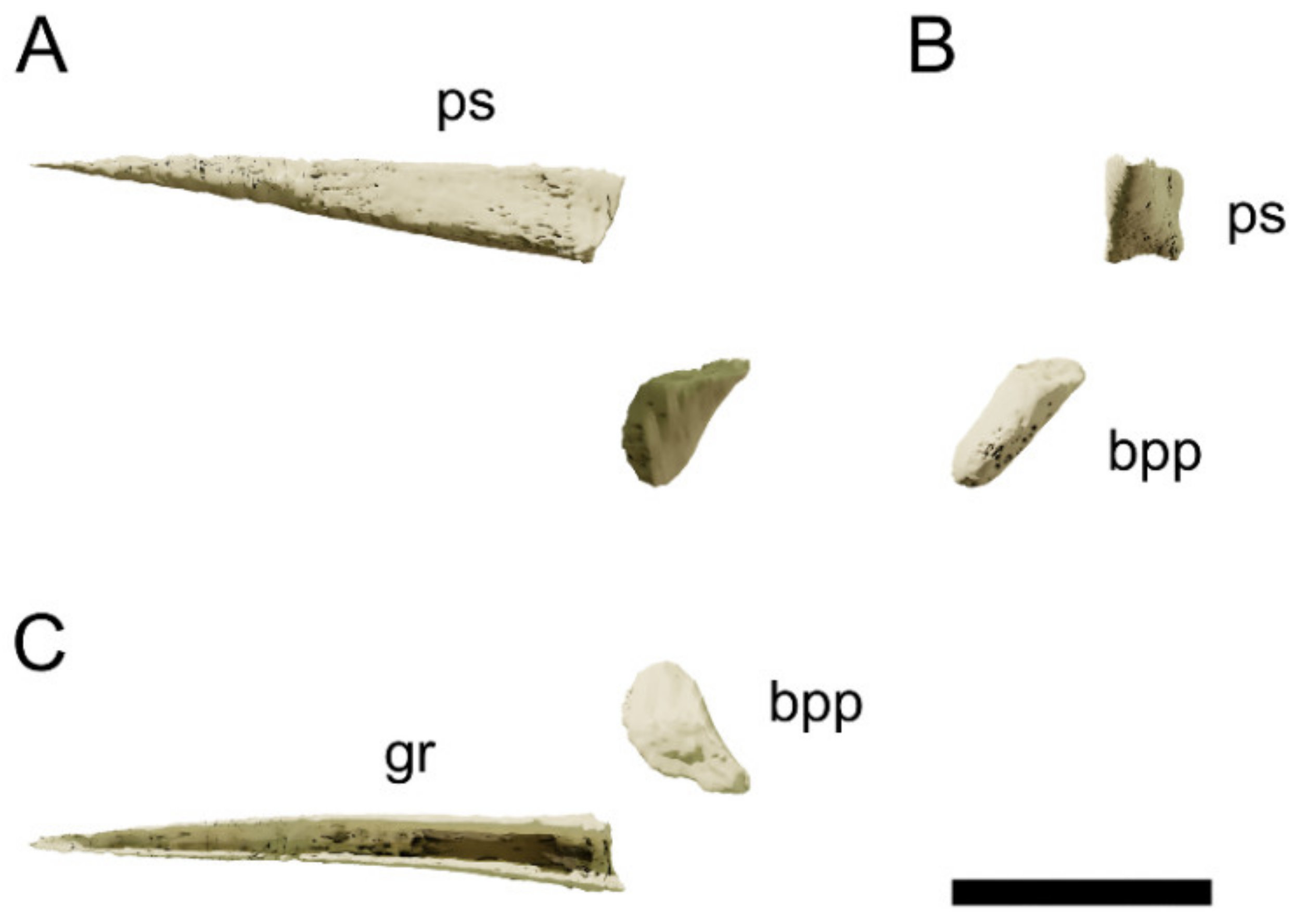 Diversity 13 00561 g024