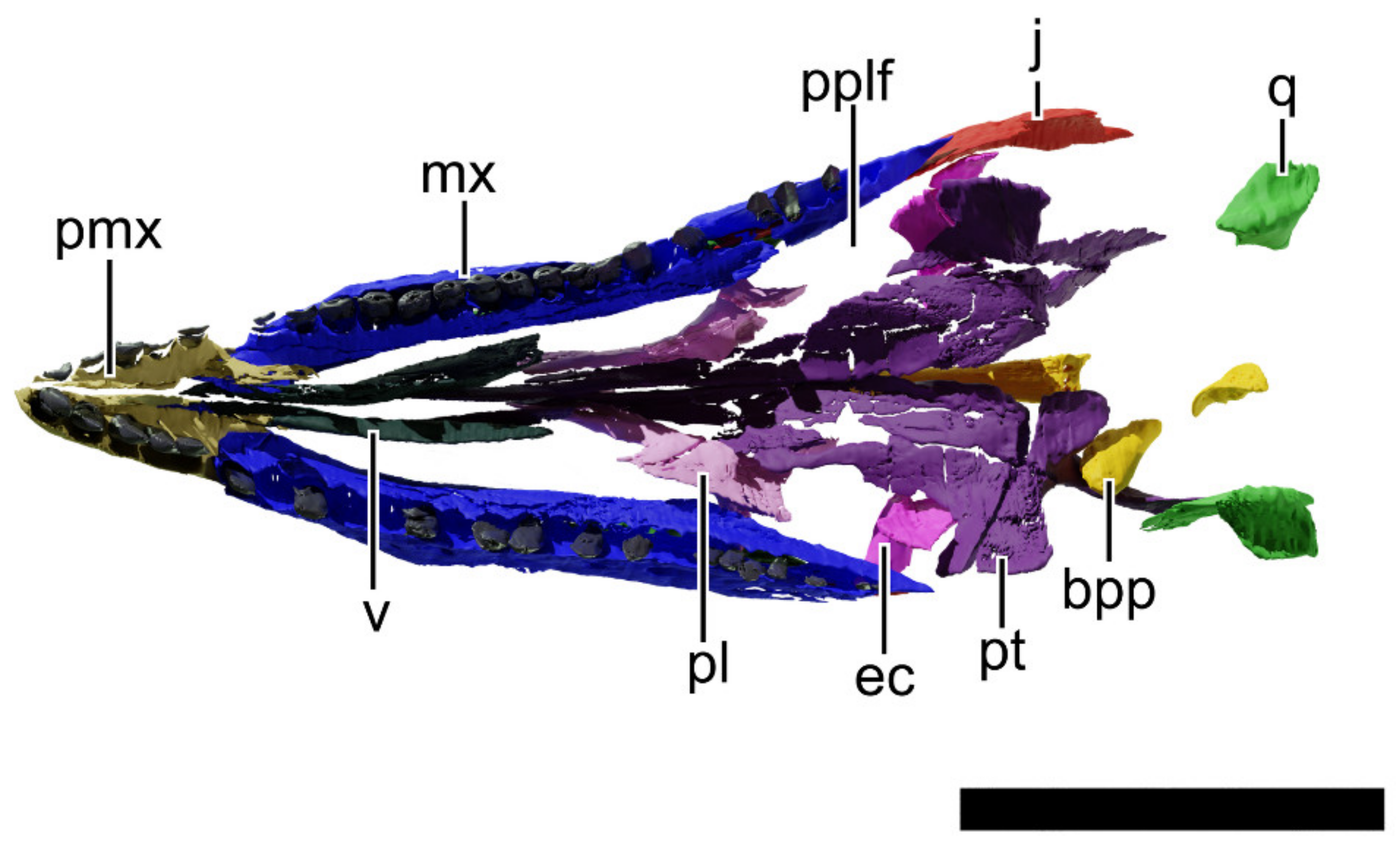 Diversity 13 00561 g025