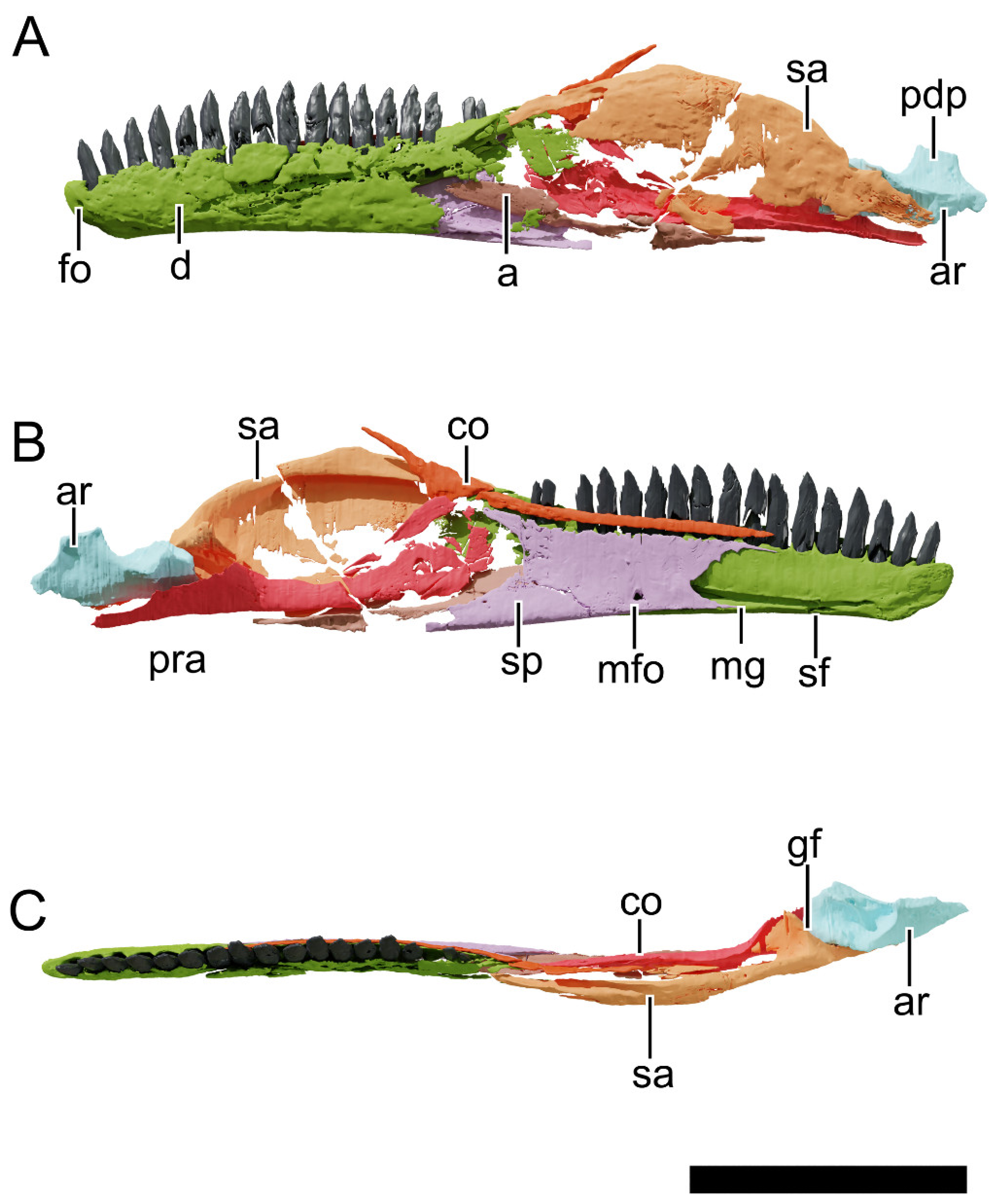 Diversity 13 00561 g031