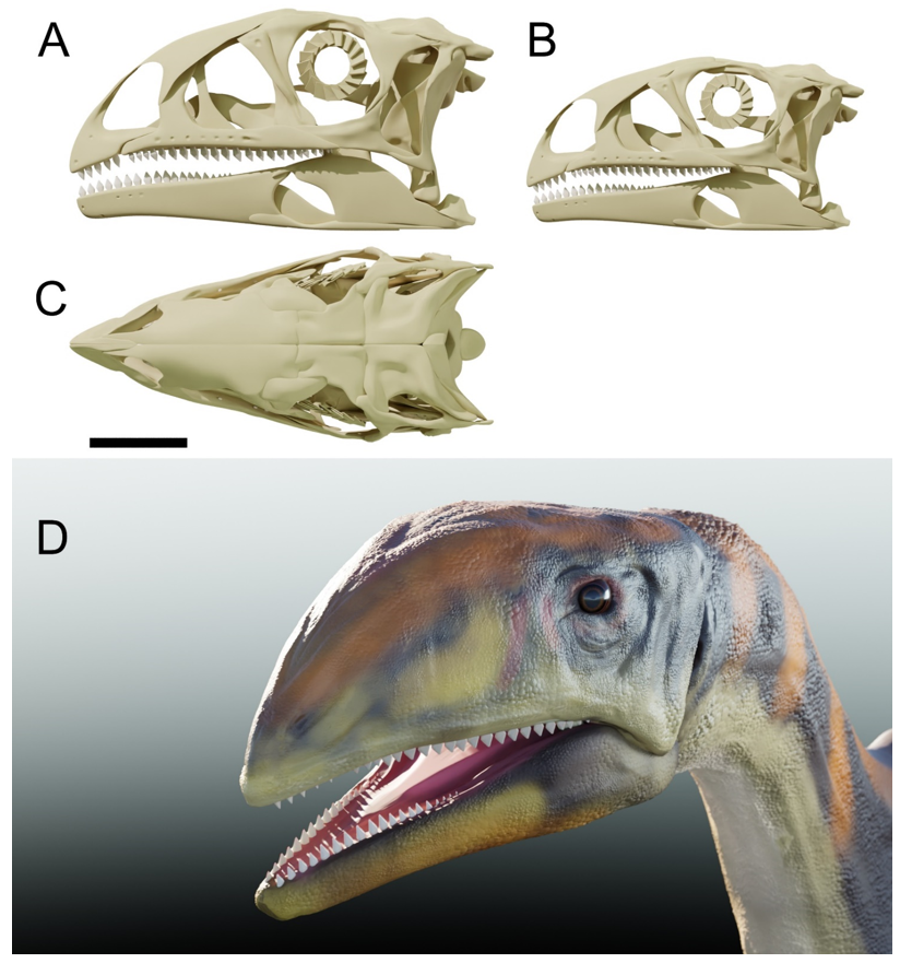 Diversity 13 00561 g038