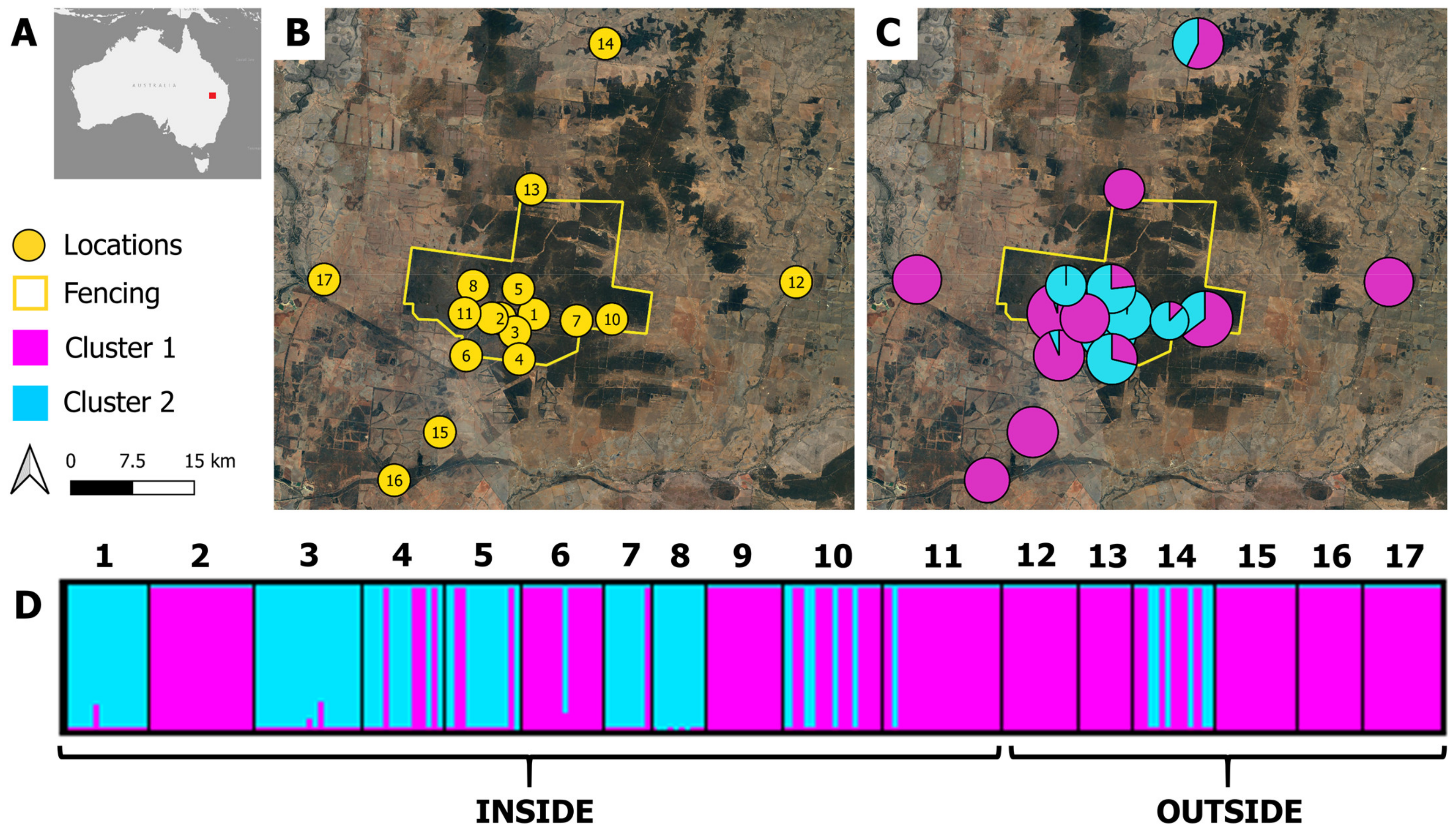 Diversity 13 00570 g001