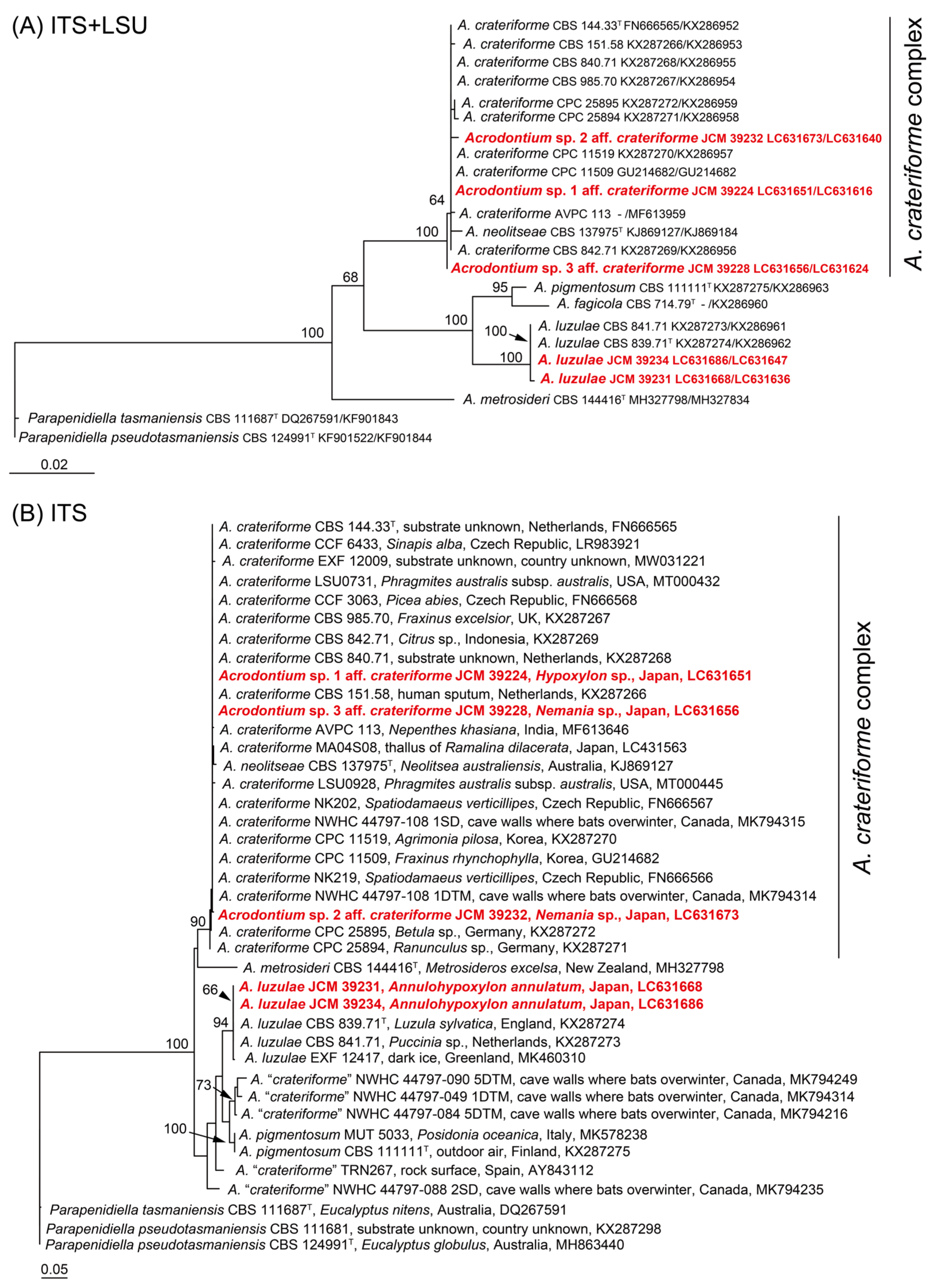 Diversity 13 00574 g005
