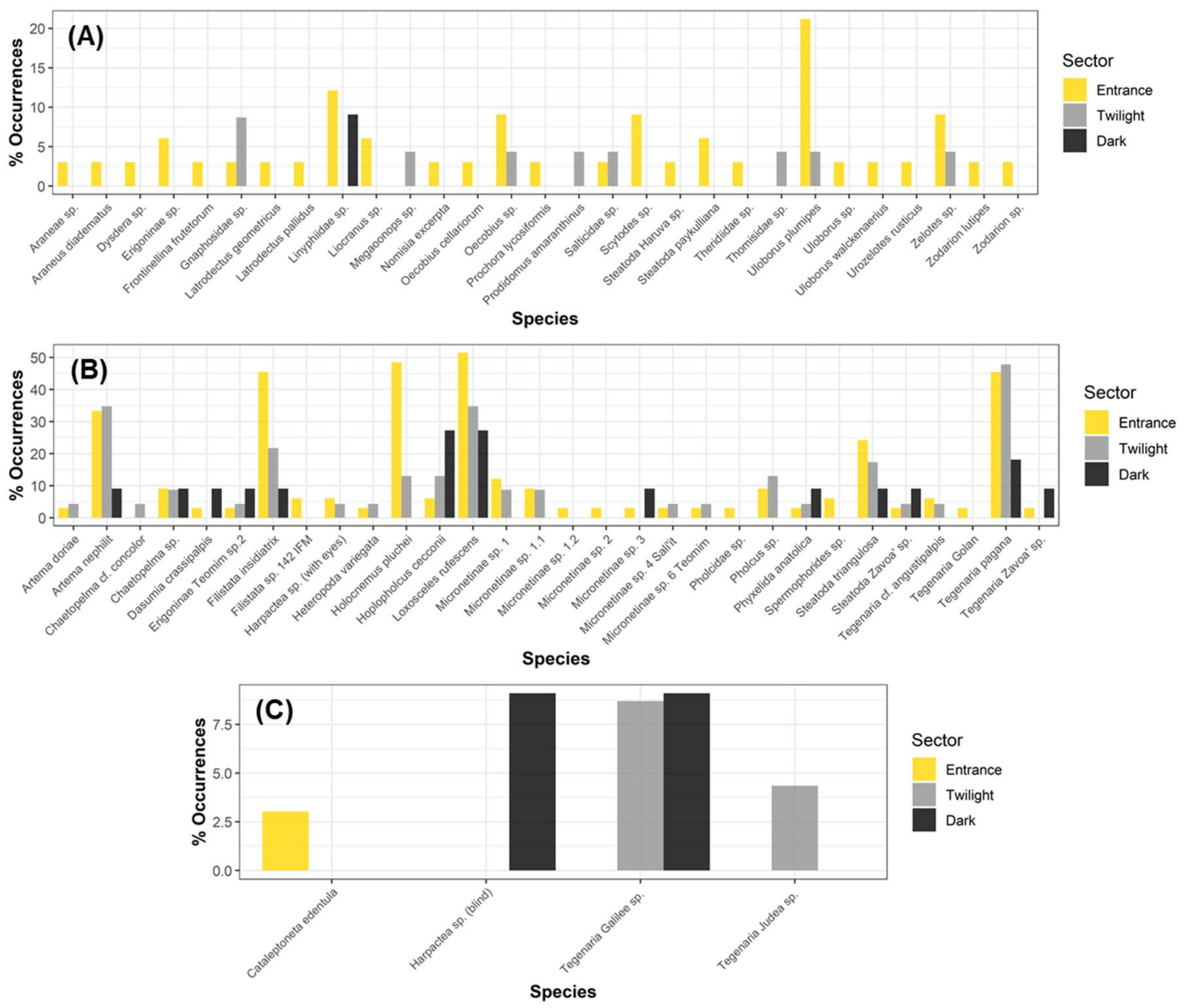 Diversity 13 00576 g003