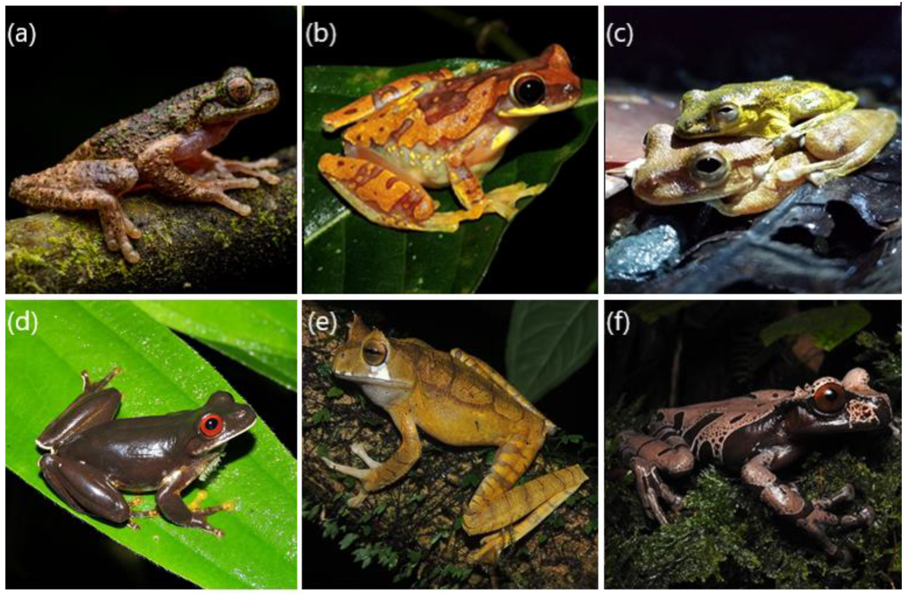 Diversity 13 00577 g006