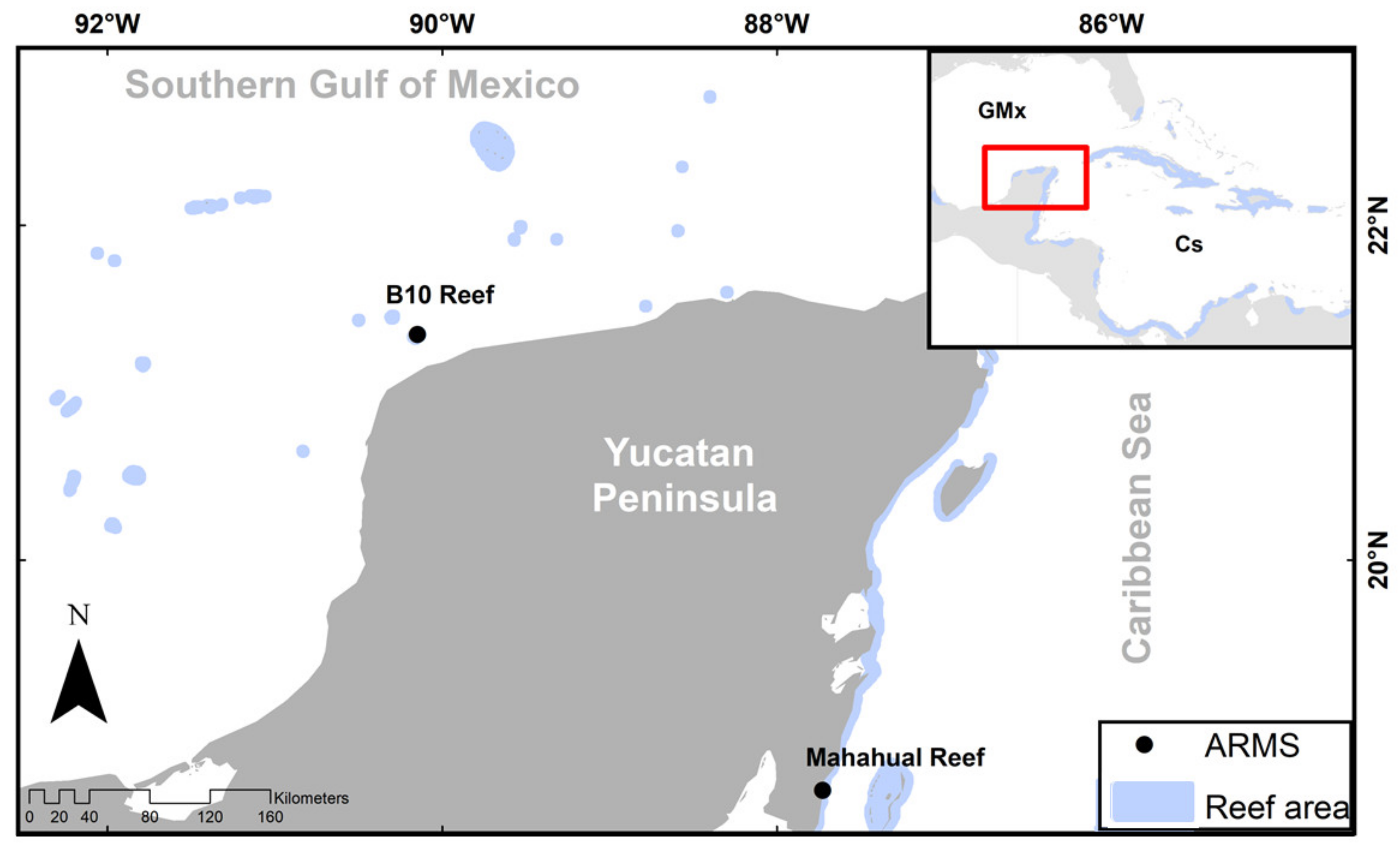 Diversity 13 00579 g001