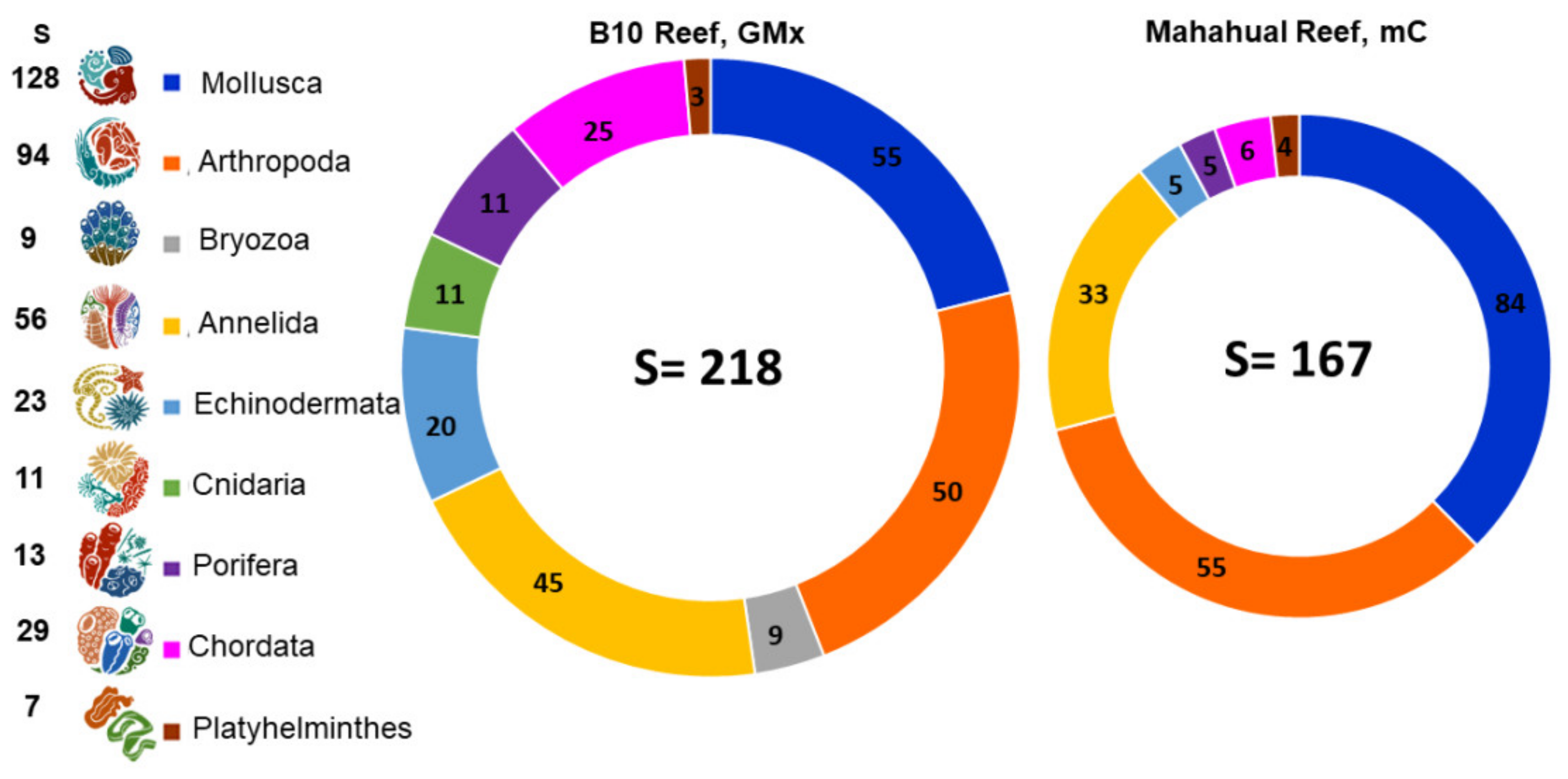 Diversity 13 00579 g002