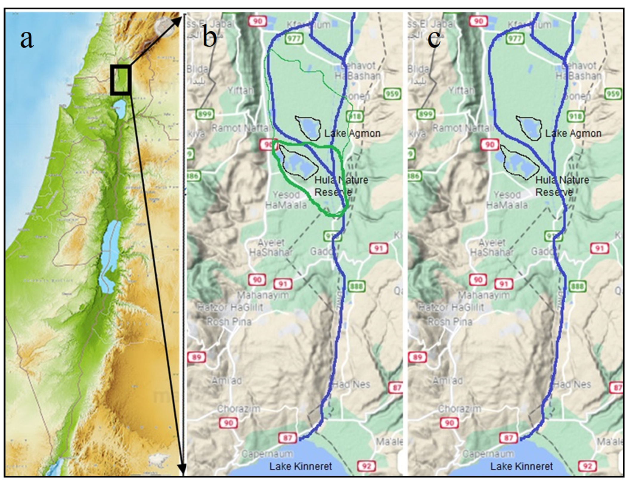 Diversity 13 00583 g001