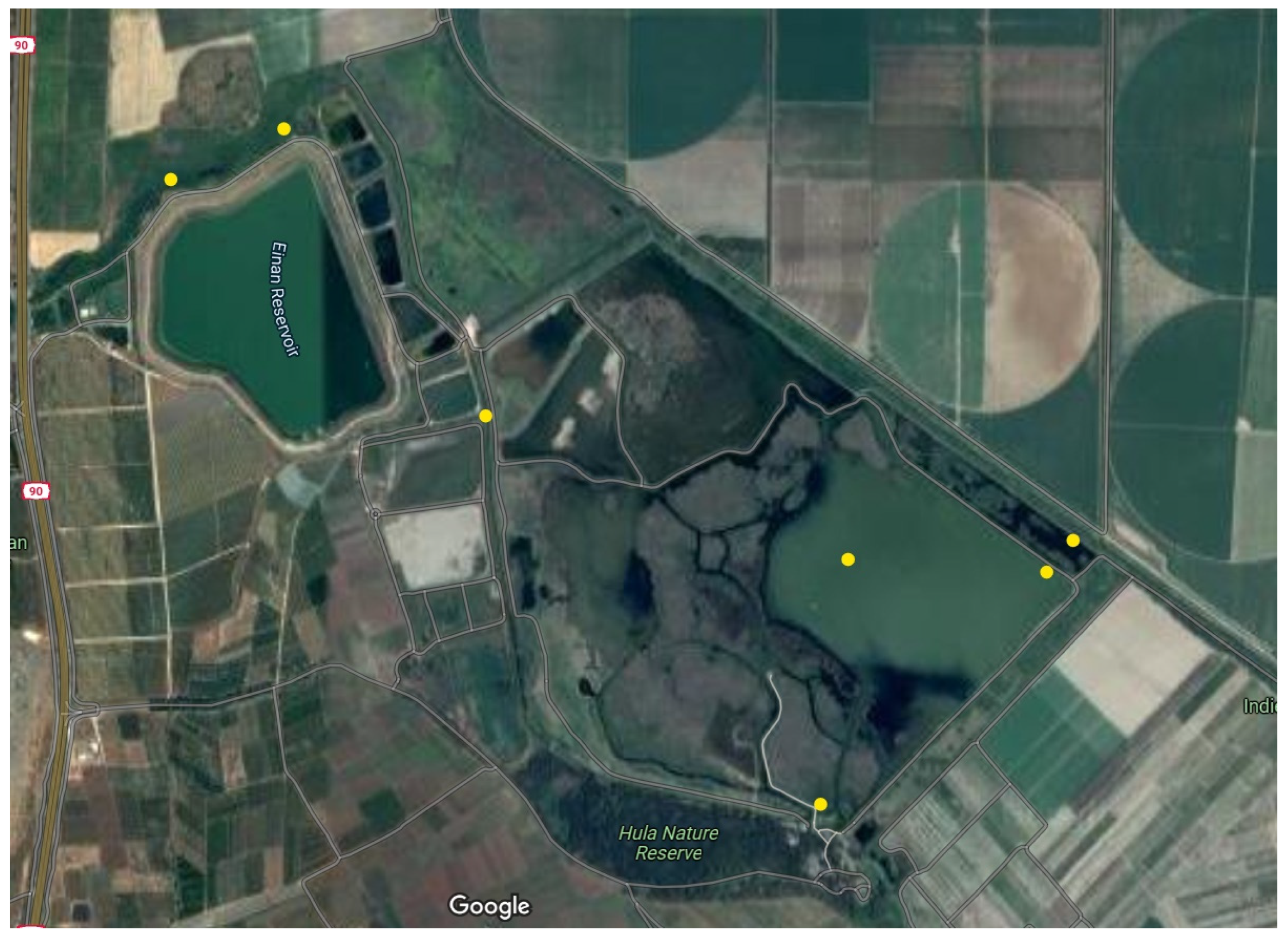 Diversity 13 00583 g002