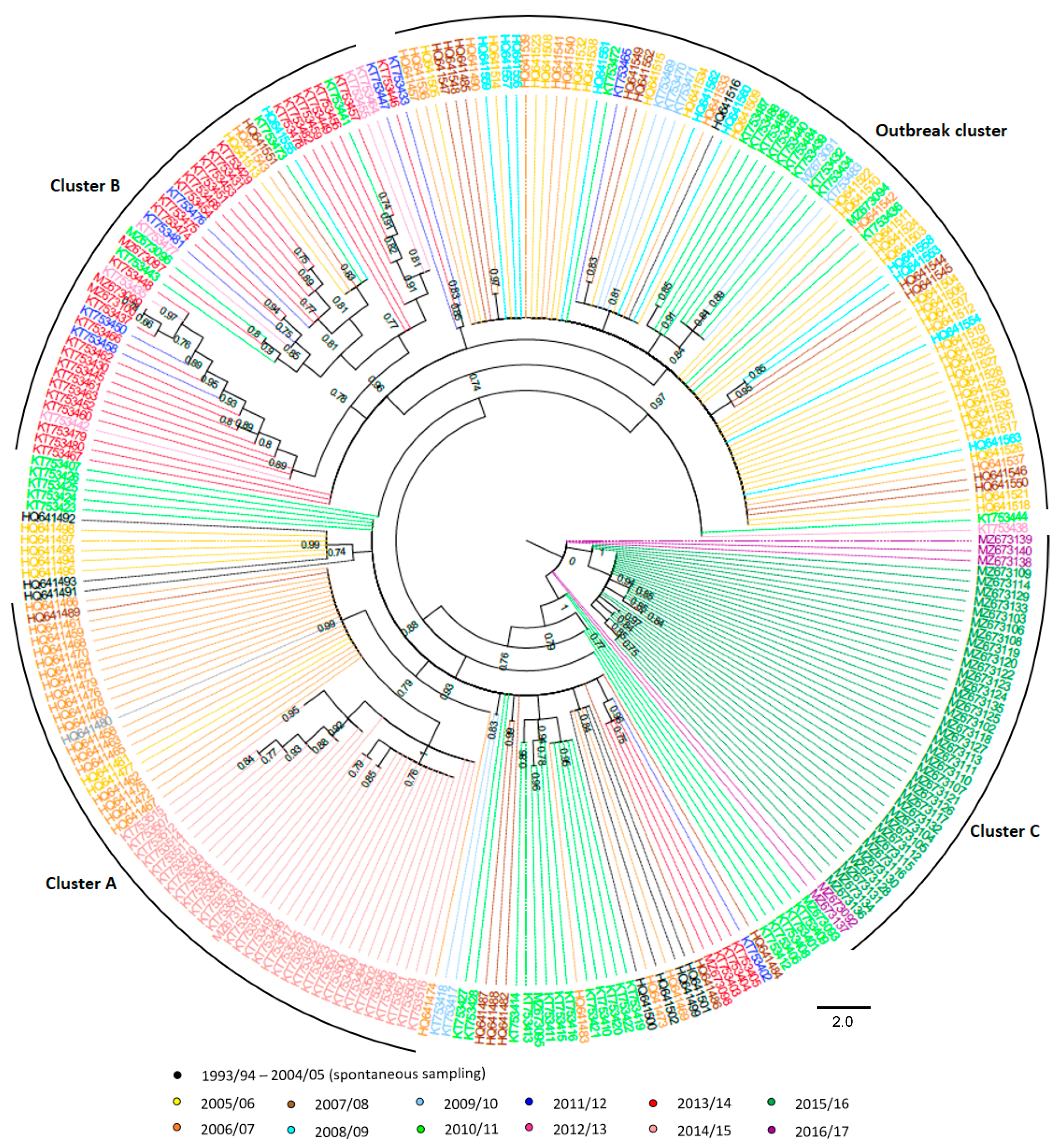 Diversity 13 00584 g001