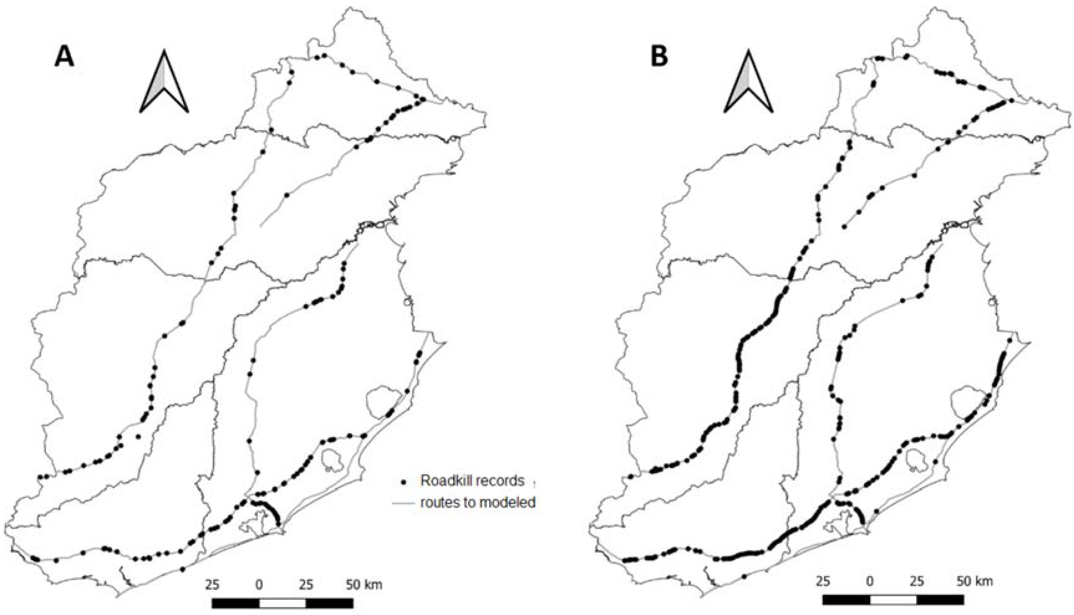 Diversity 13 00585 g002