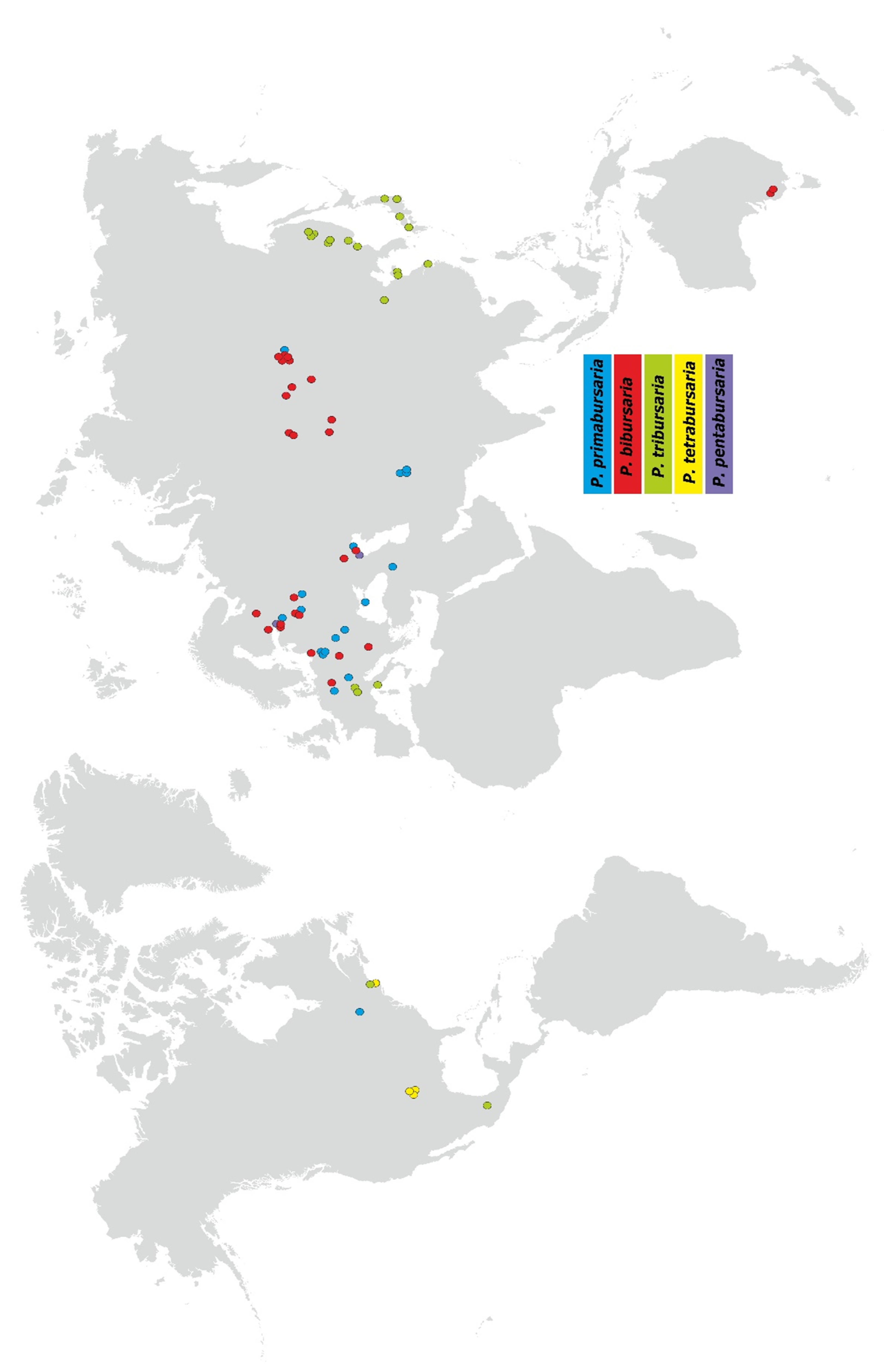 Diversity 13 00589 g001