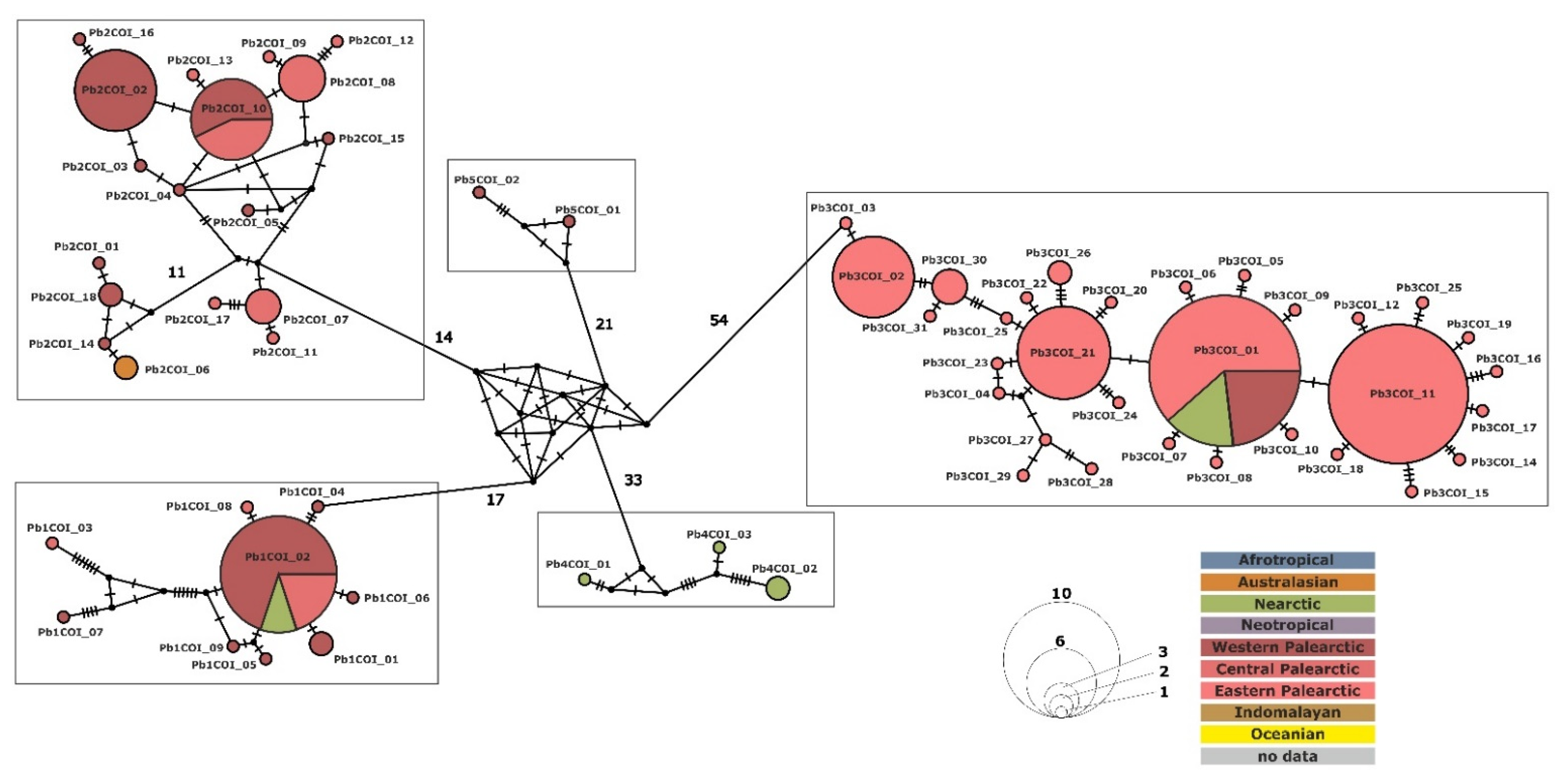 Diversity 13 00589 g004
