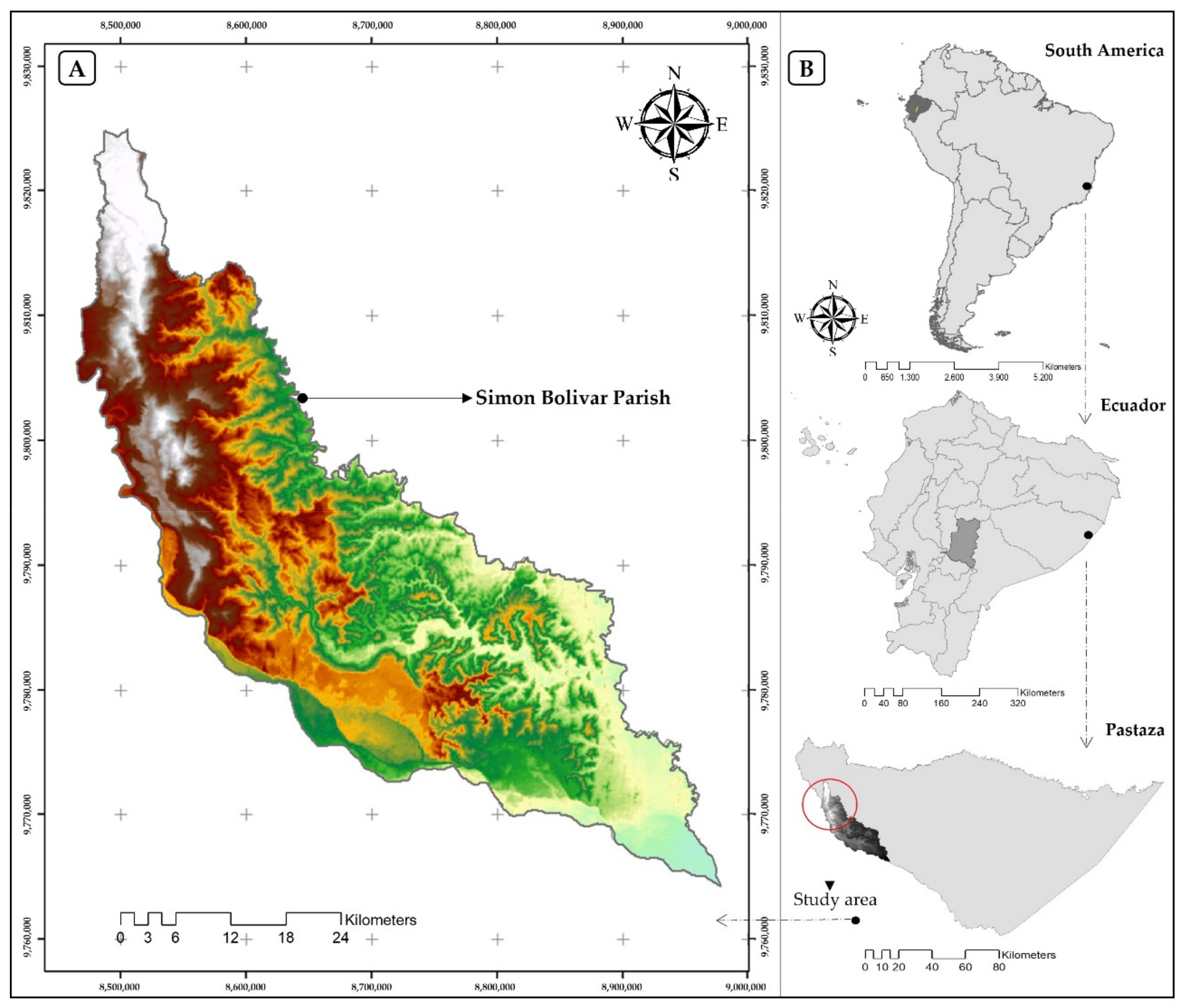 Diversity 13 00592 g001