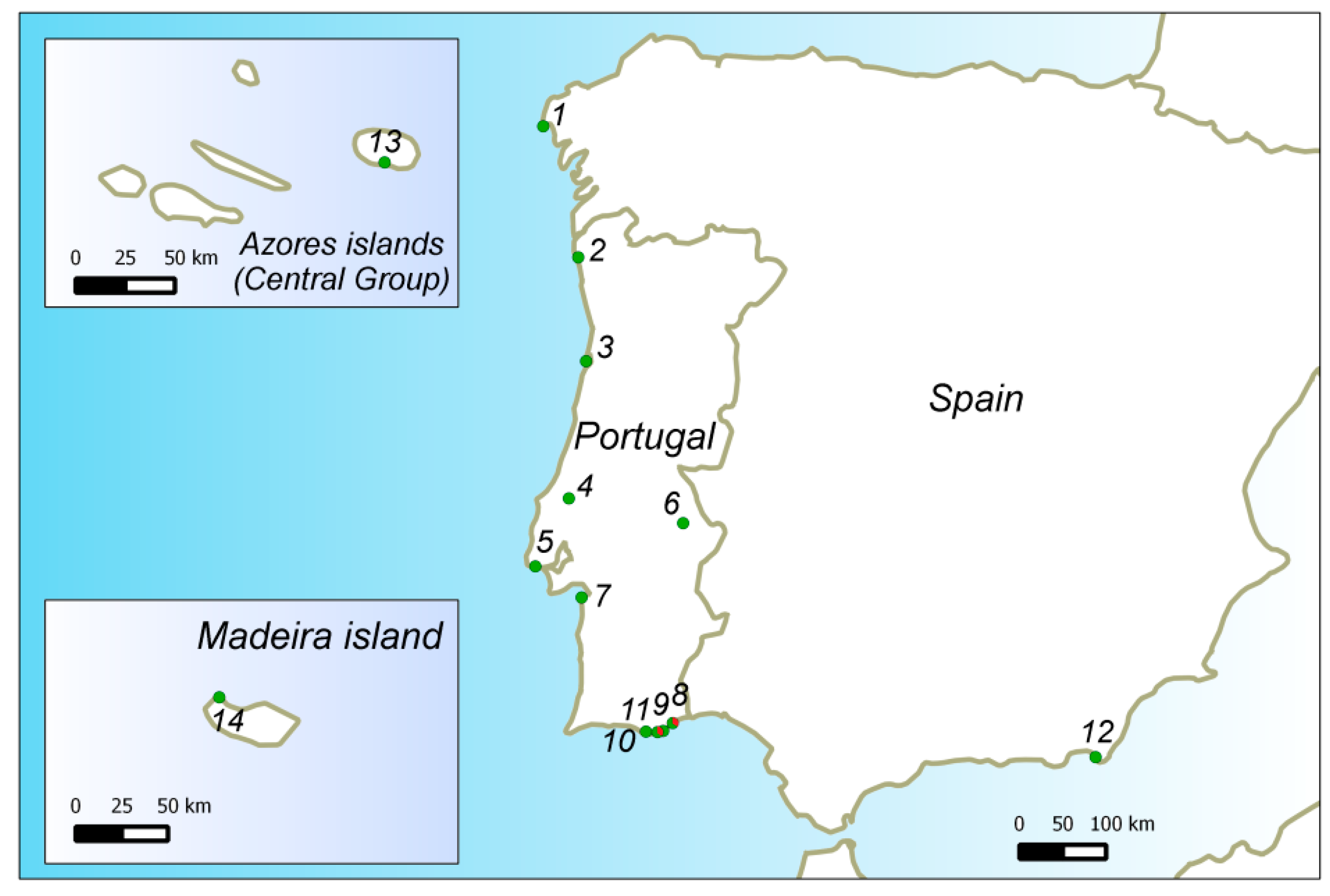 Diversity 13 00593 g001