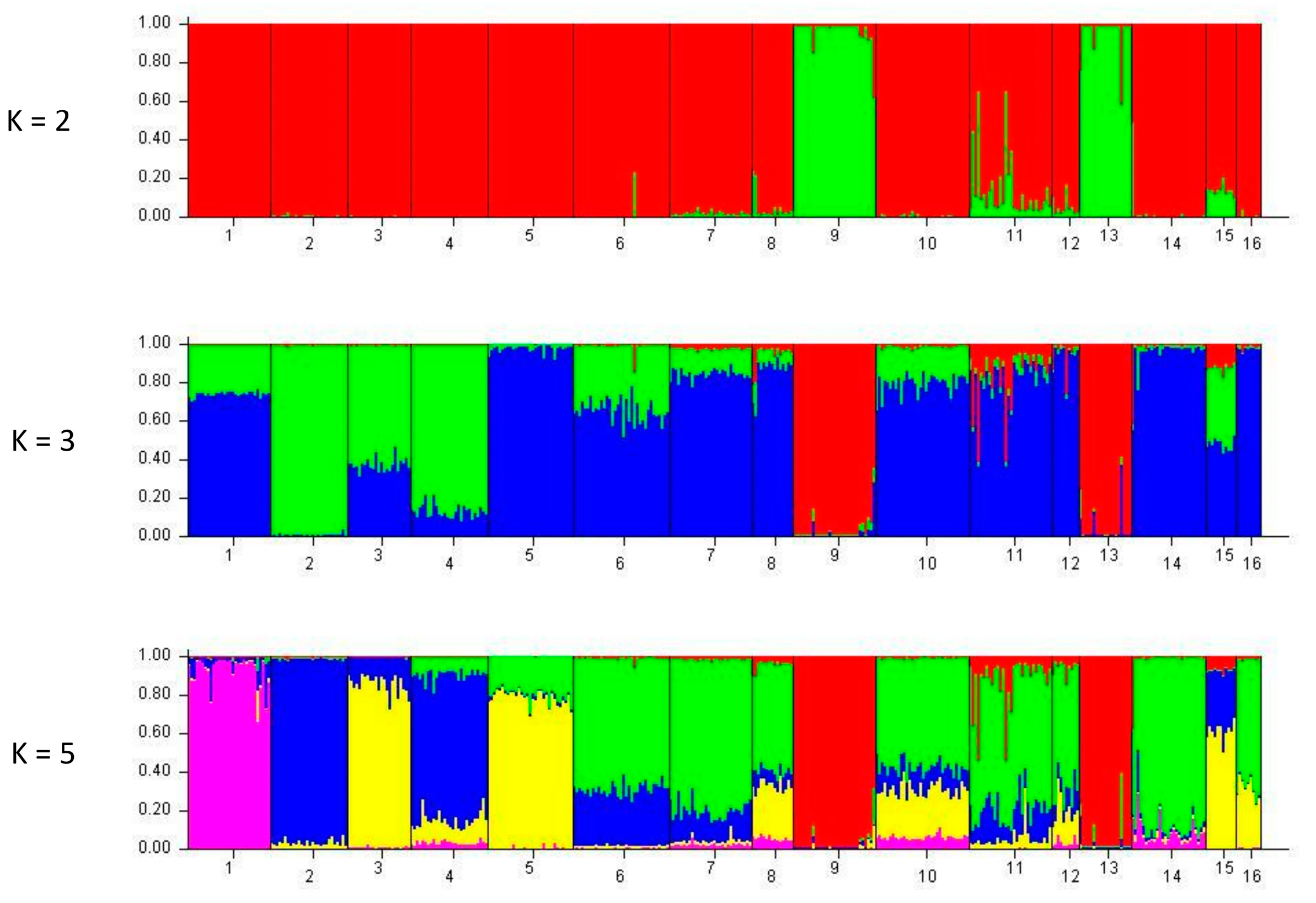 Diversity 13 00593 g003