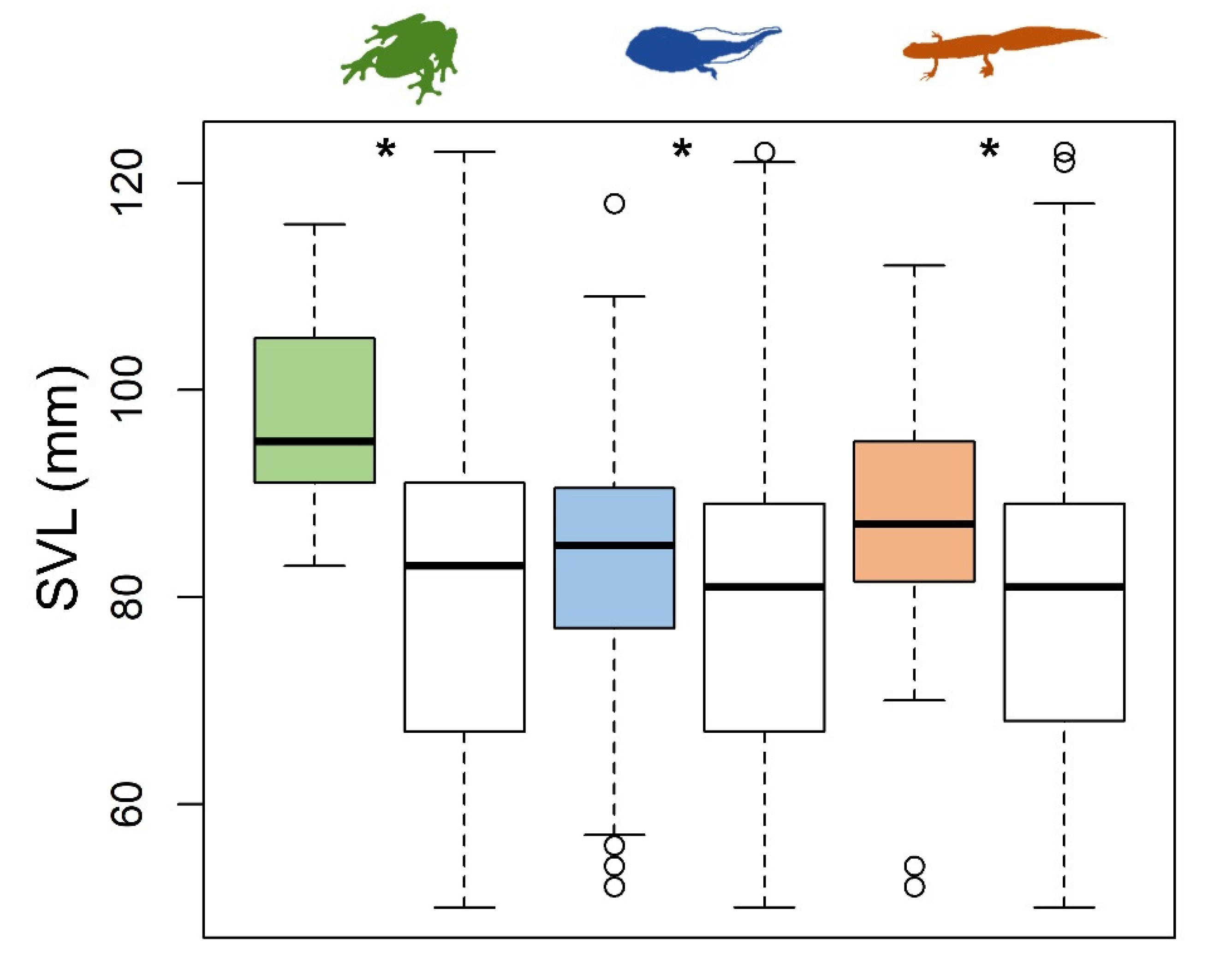 Diversity 13 00595 g004
