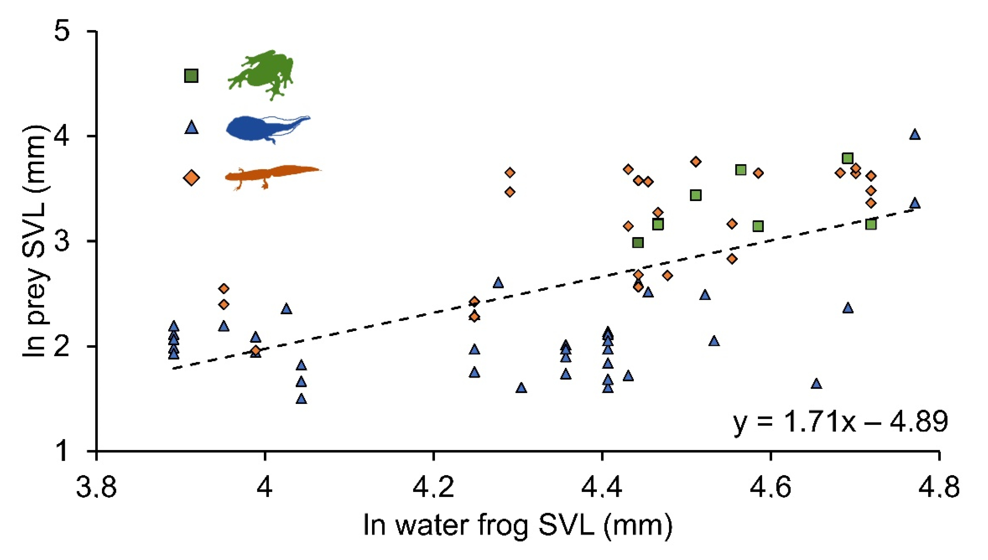 Diversity 13 00595 g005