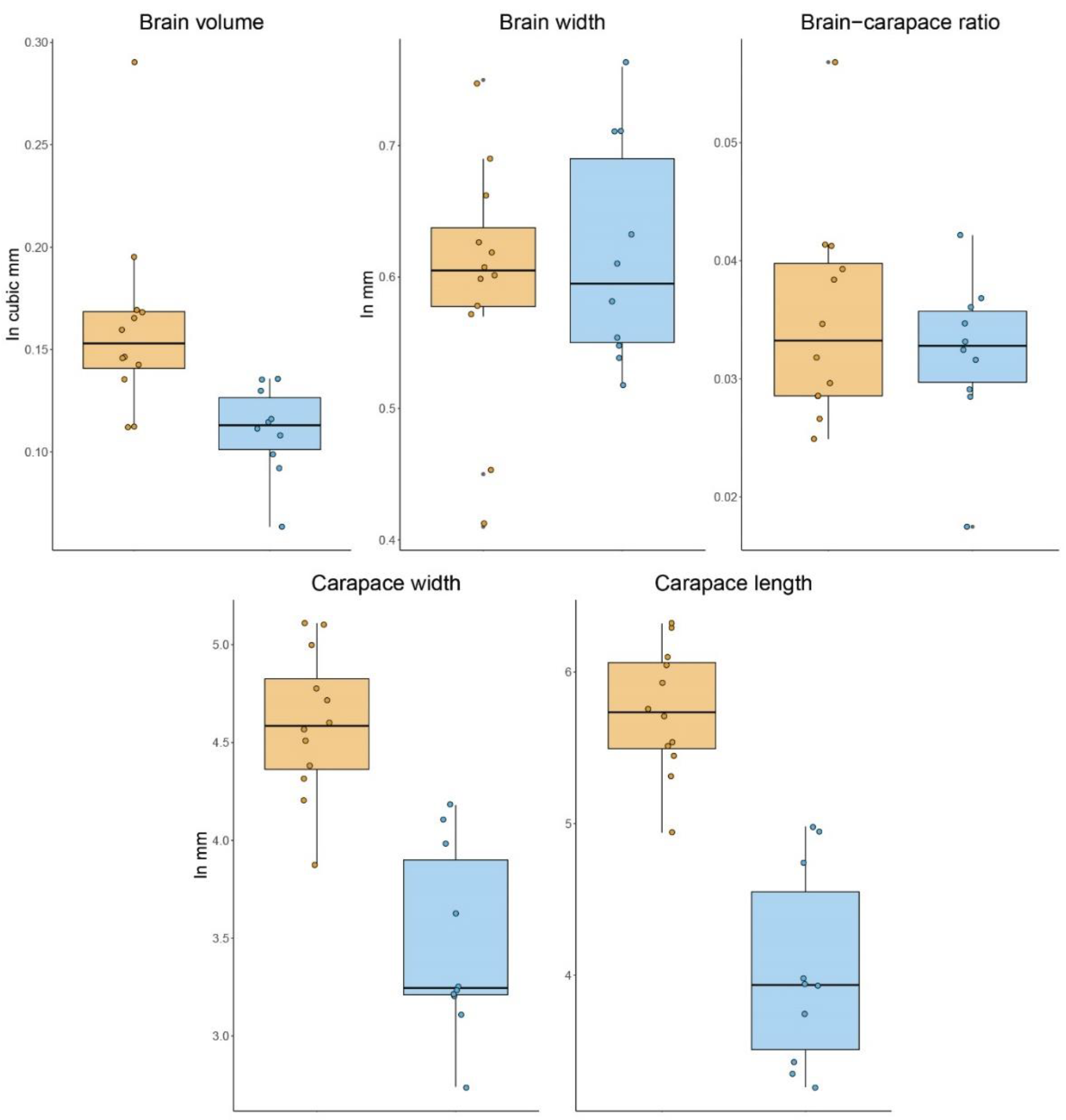 Diversity 13 00601 g001