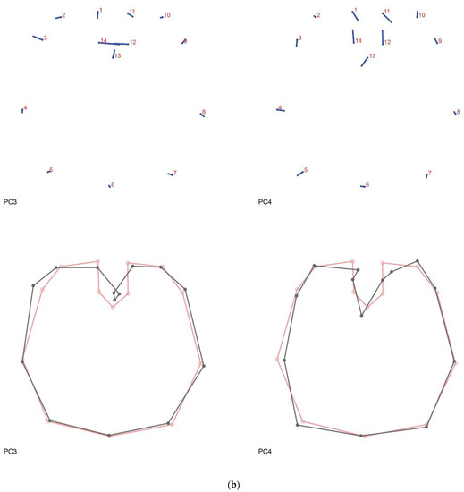 Diversity 13 00601 g0a2b 550