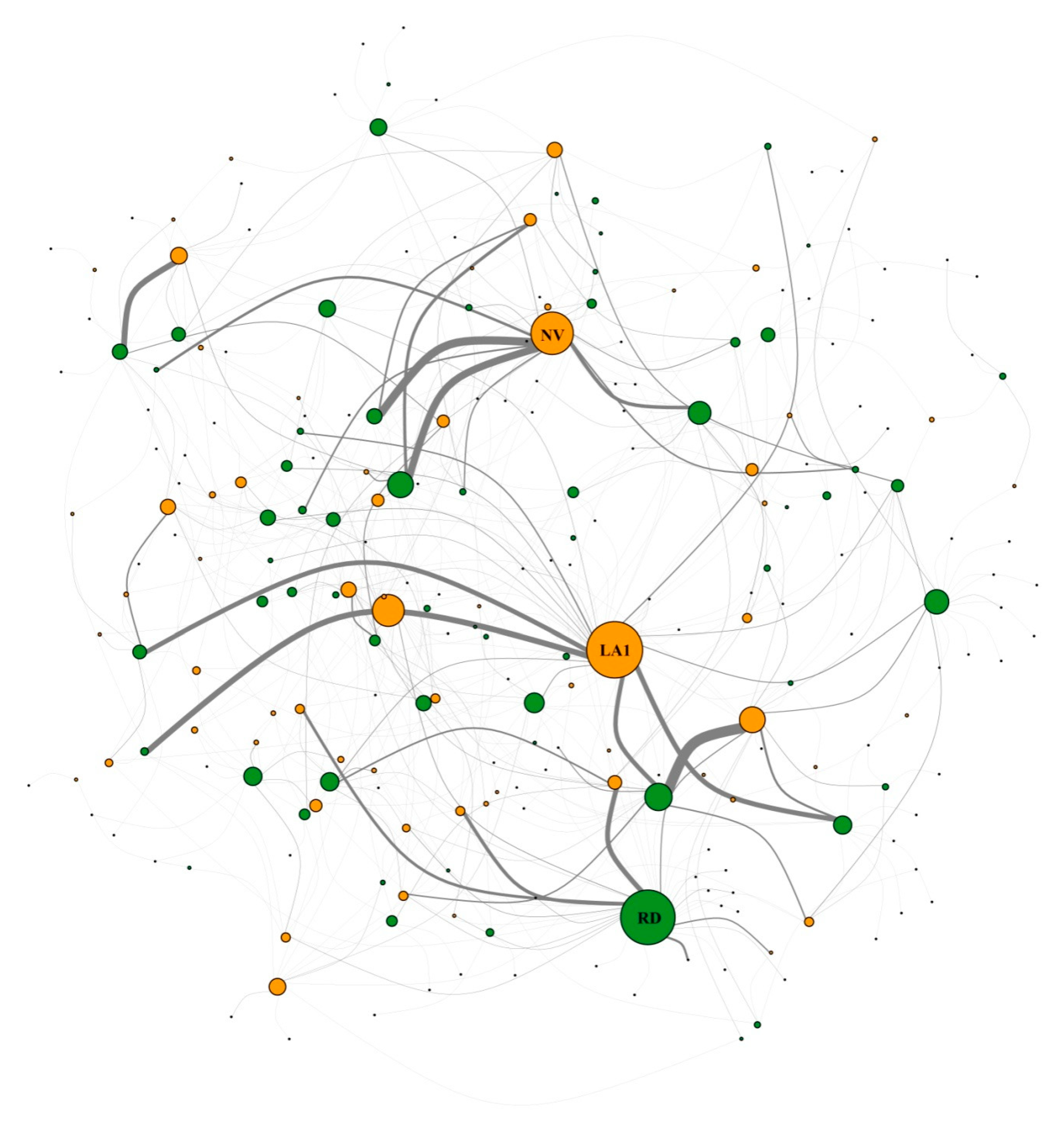 Diversity 13 00604 g002