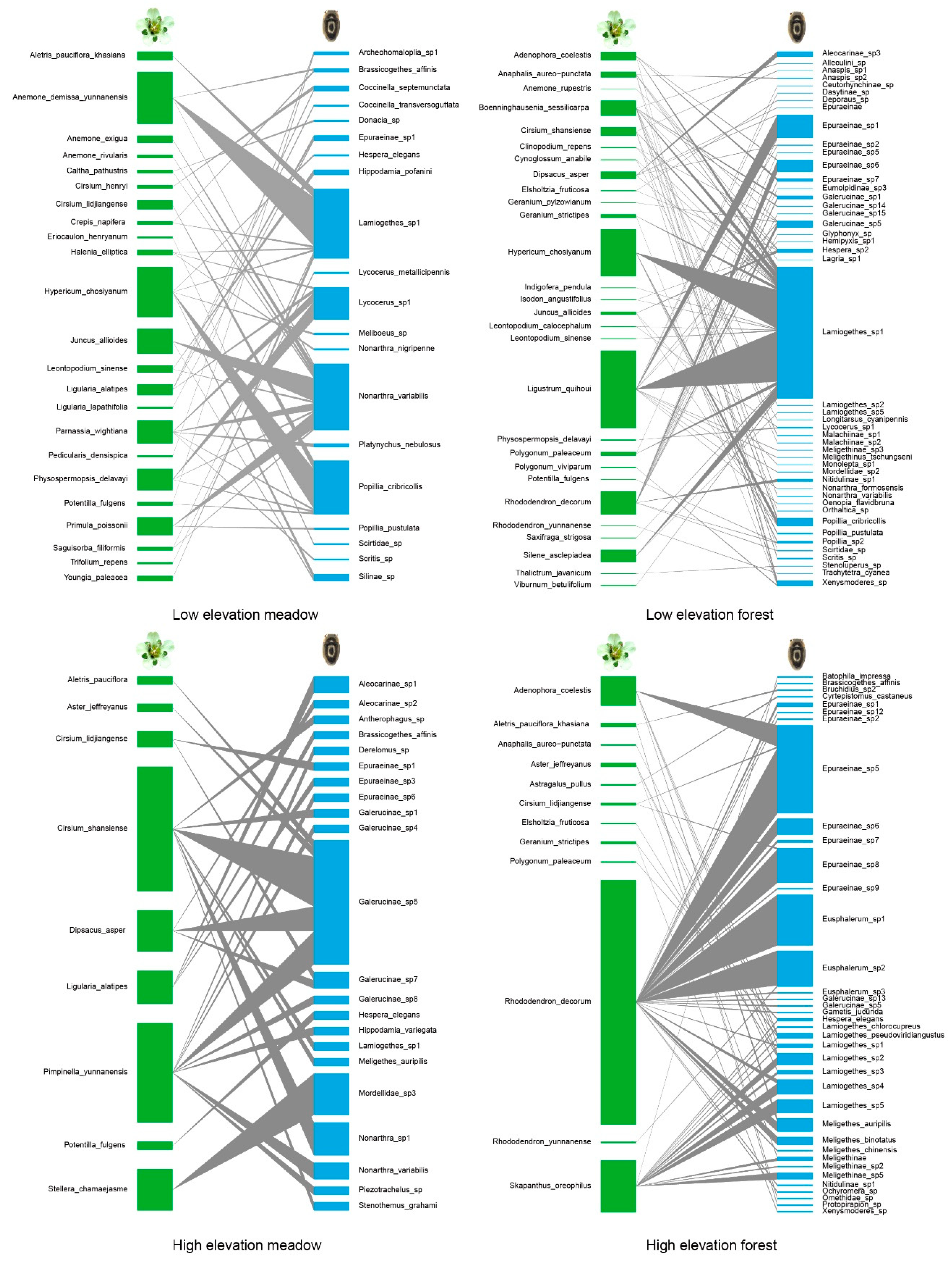 Diversity 13 00604 g003