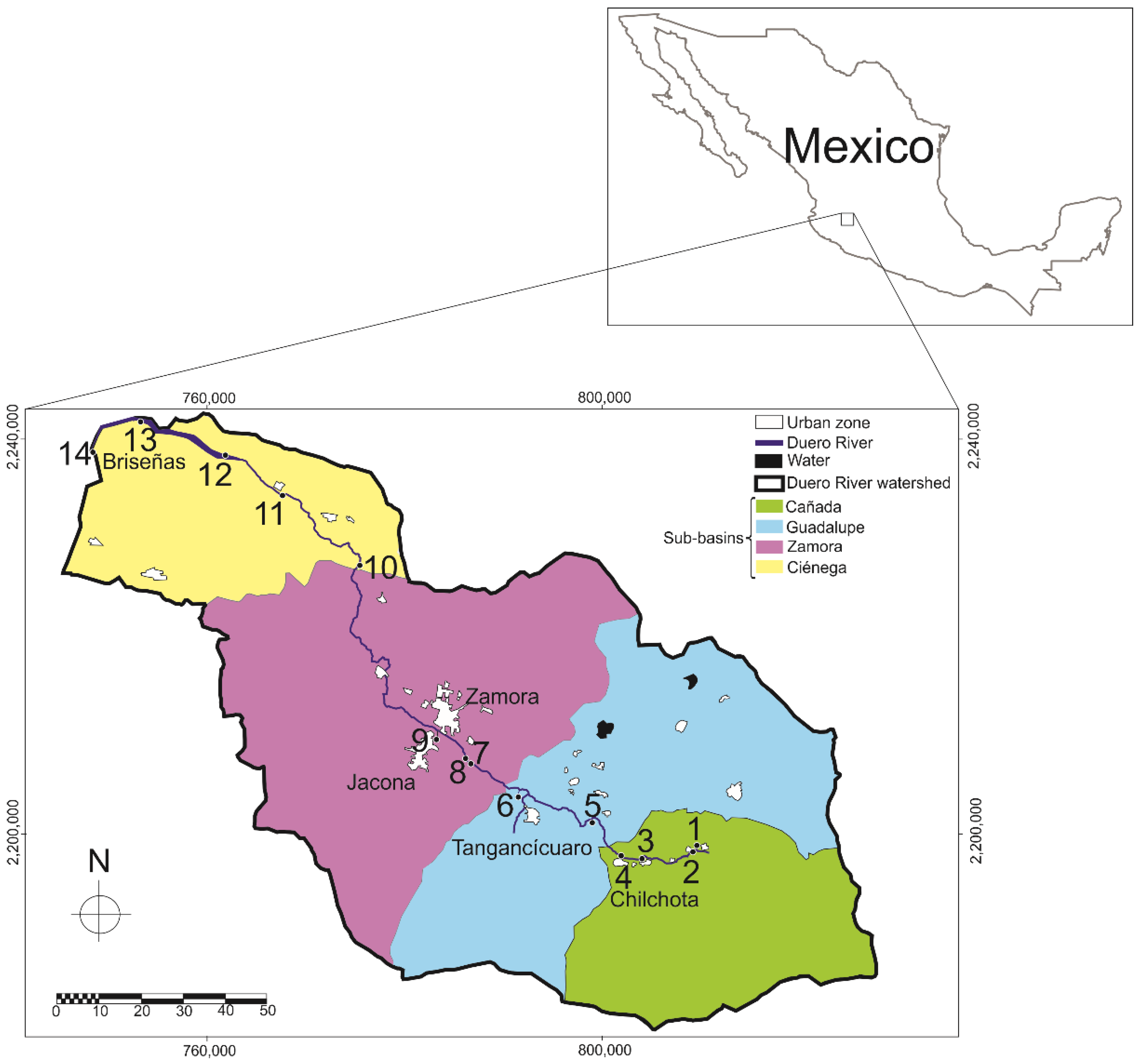 Diversity 13 00606 g001