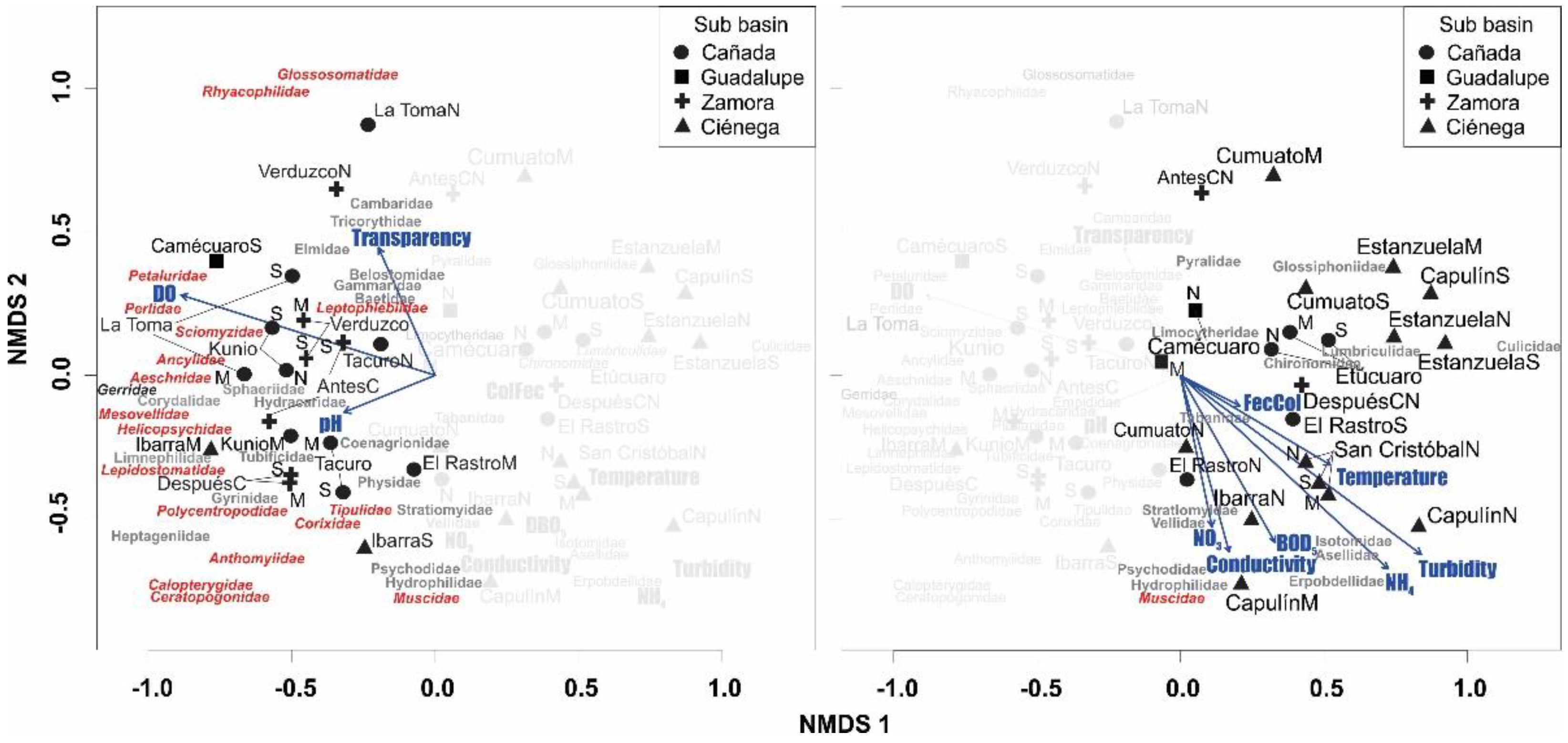 Diversity 13 00606 g003