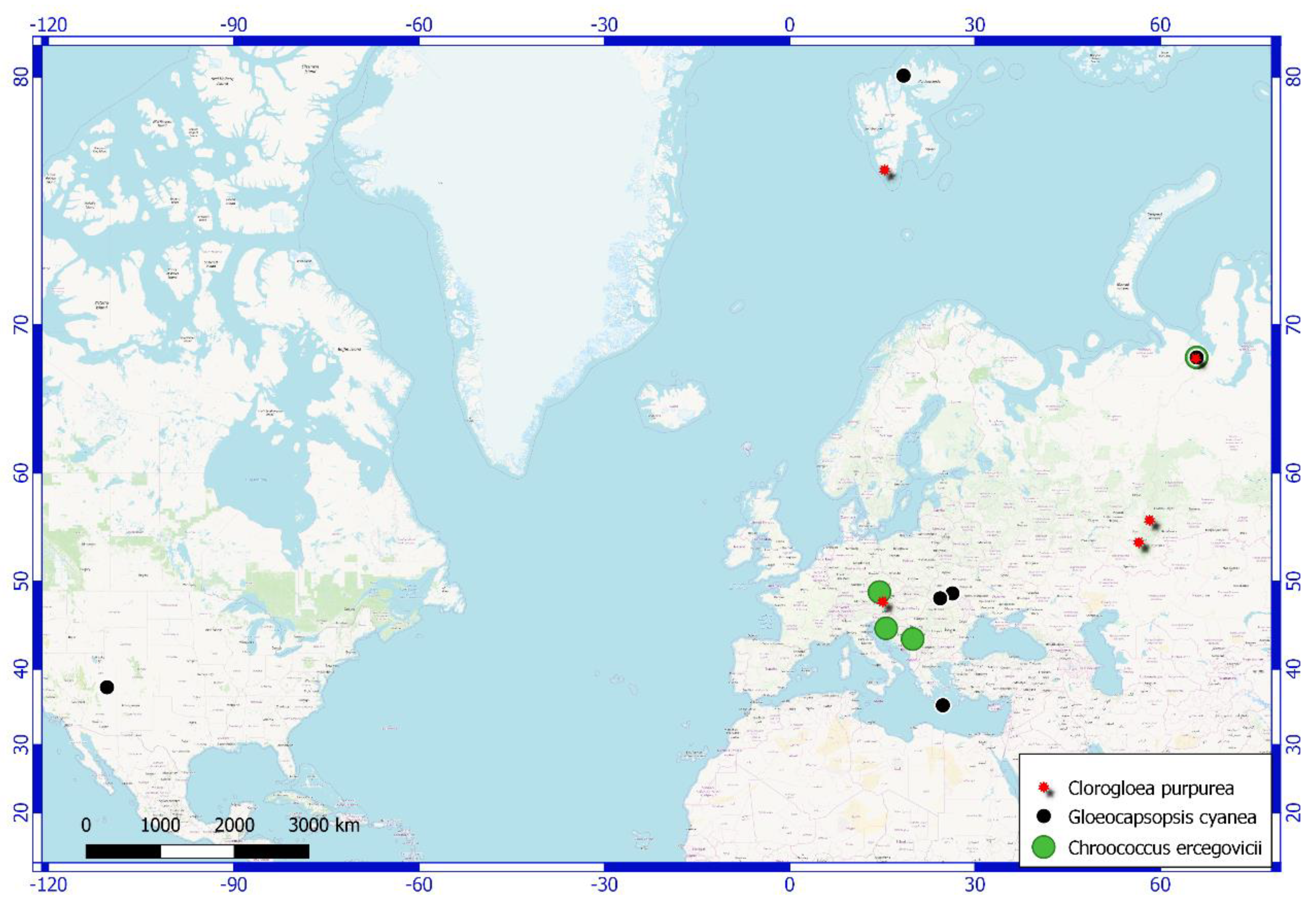 Diversity 13 00607 g004