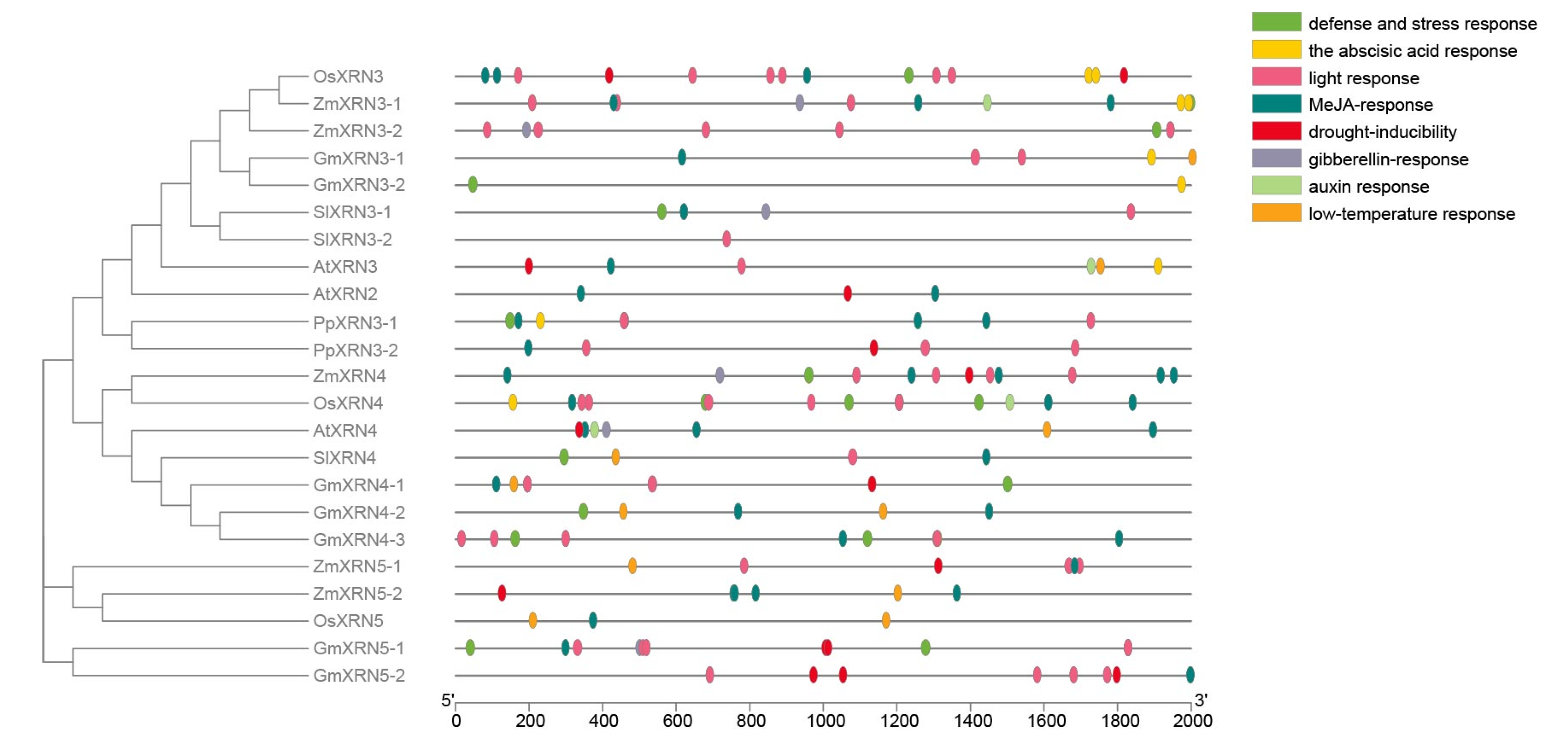Diversity 13 00612 g004