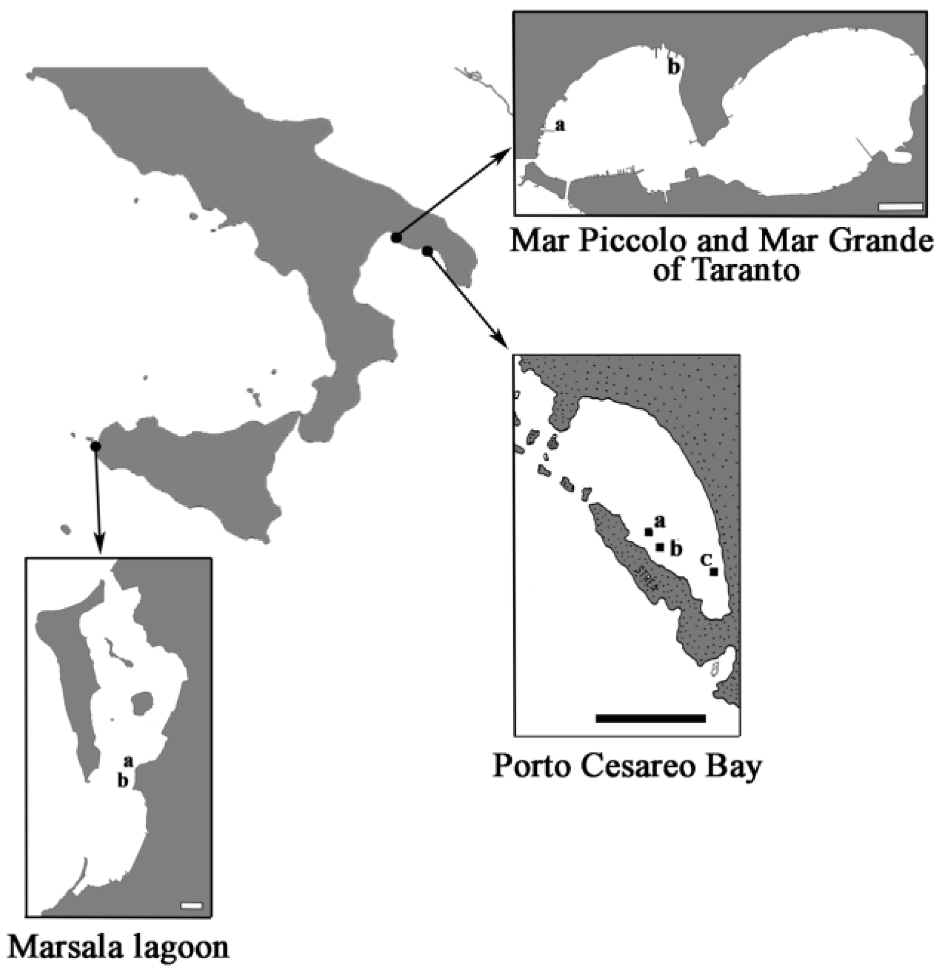 Diversity 13 00615 g001 Diversity 13 00615 g001