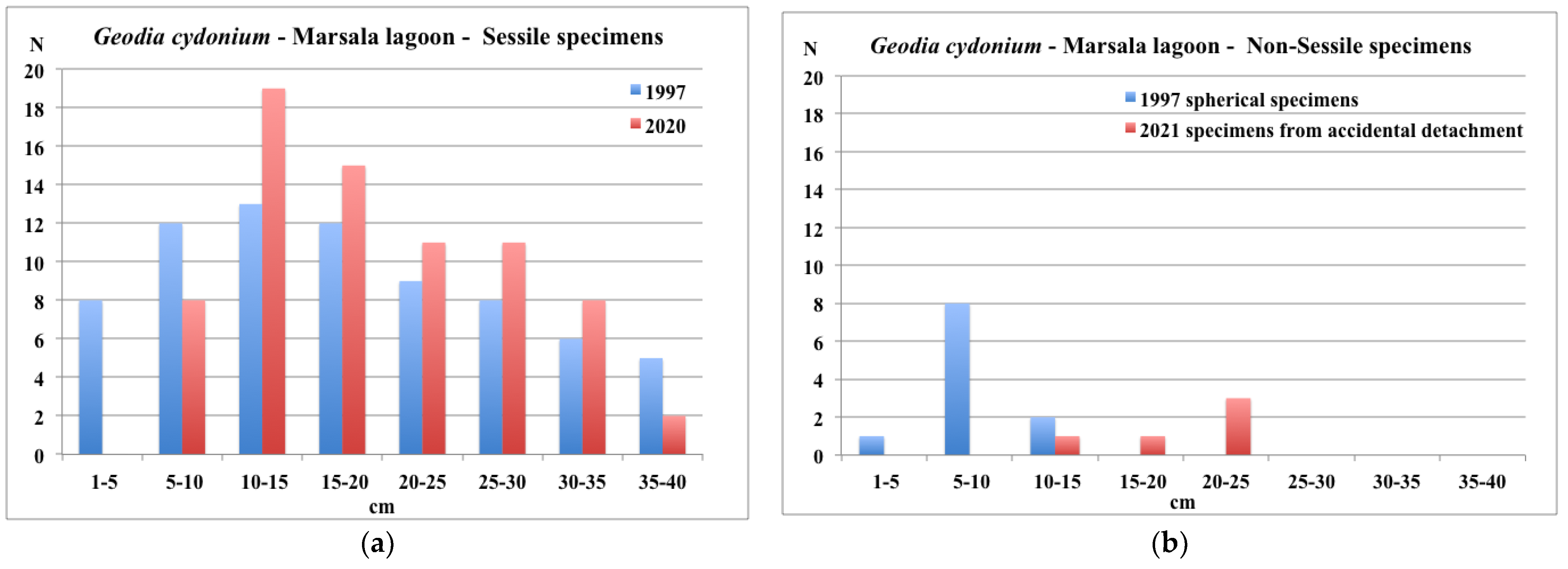 Diversity 13 00615 g005 Diversity 13 00615 g005