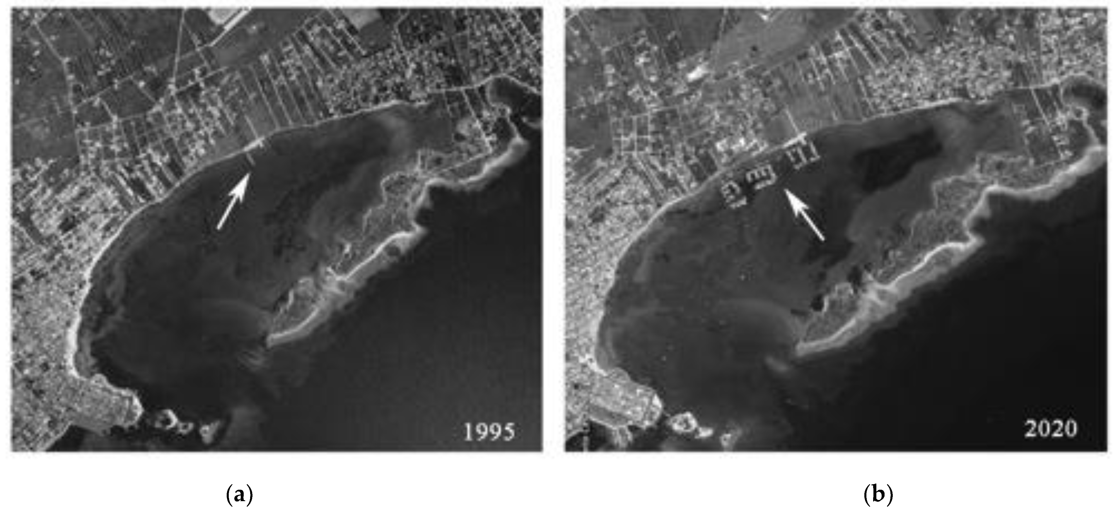 Diversity 13 00615 g012 Diversity 13 00615 g012