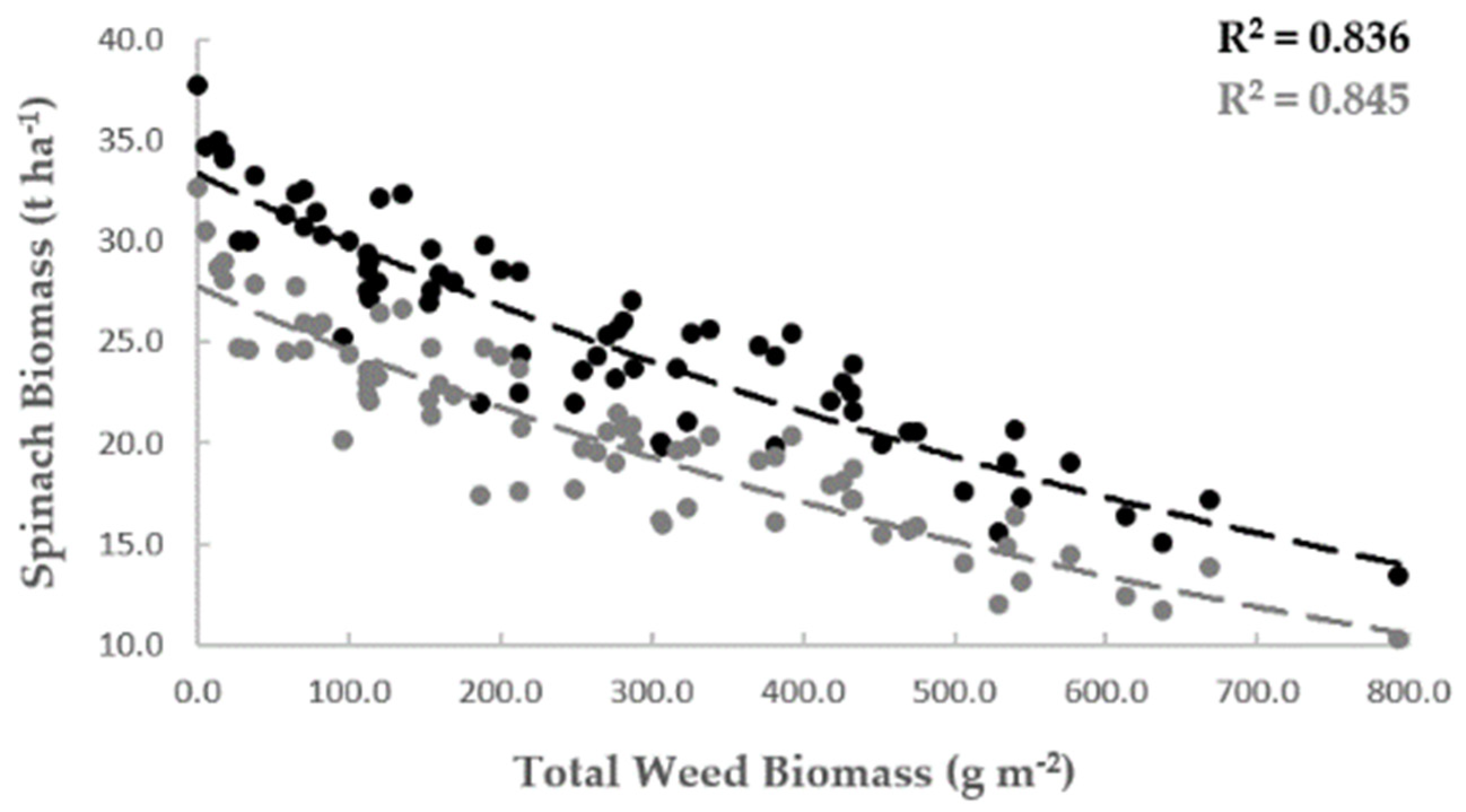 Diversity 13 00616 g002
