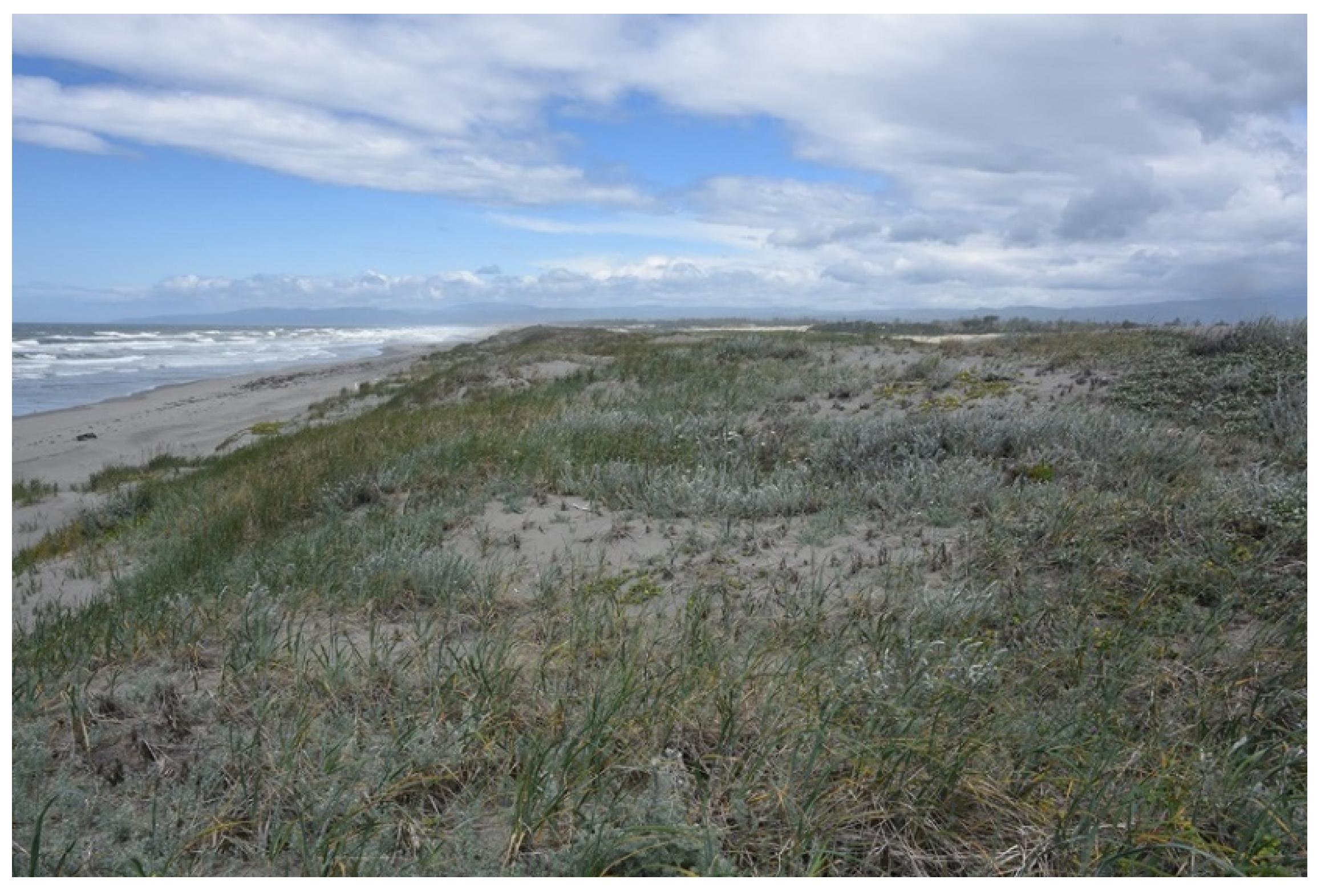 Diversity 13 00629 g001