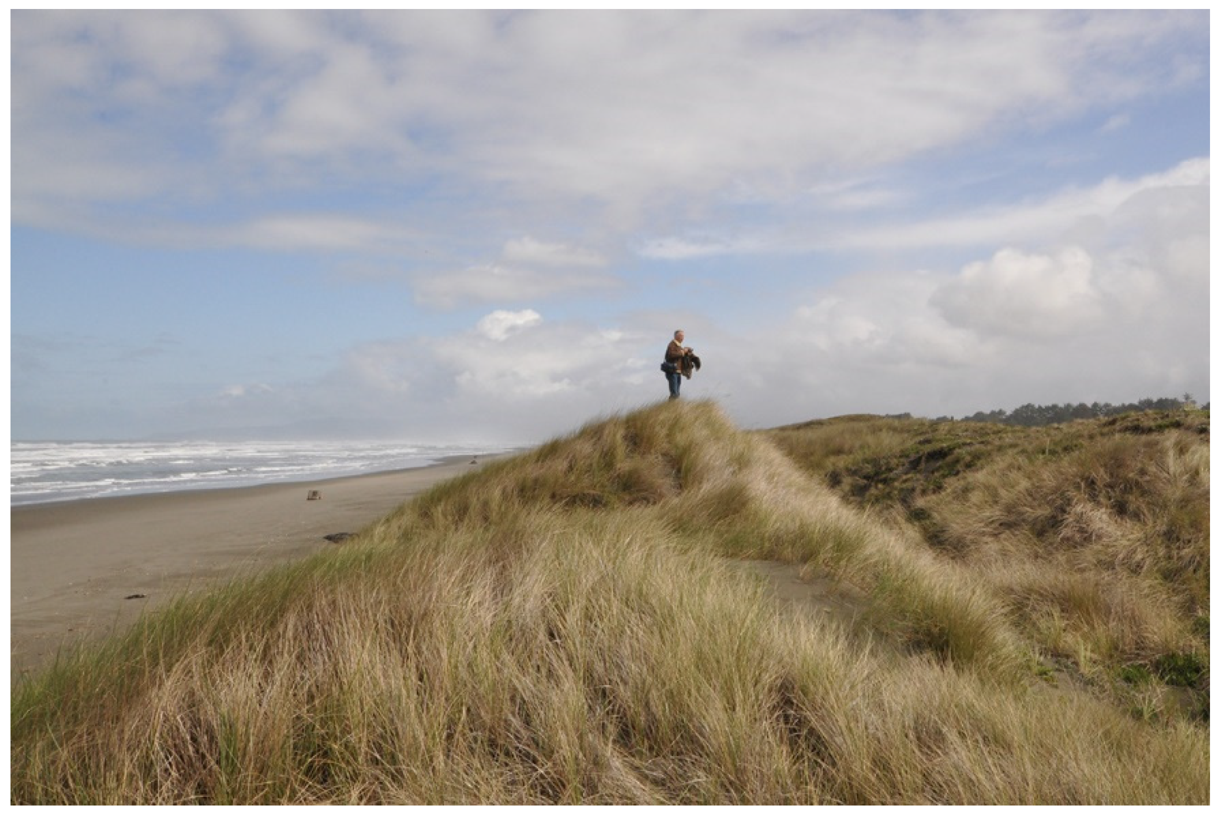 Diversity 13 00629 g003