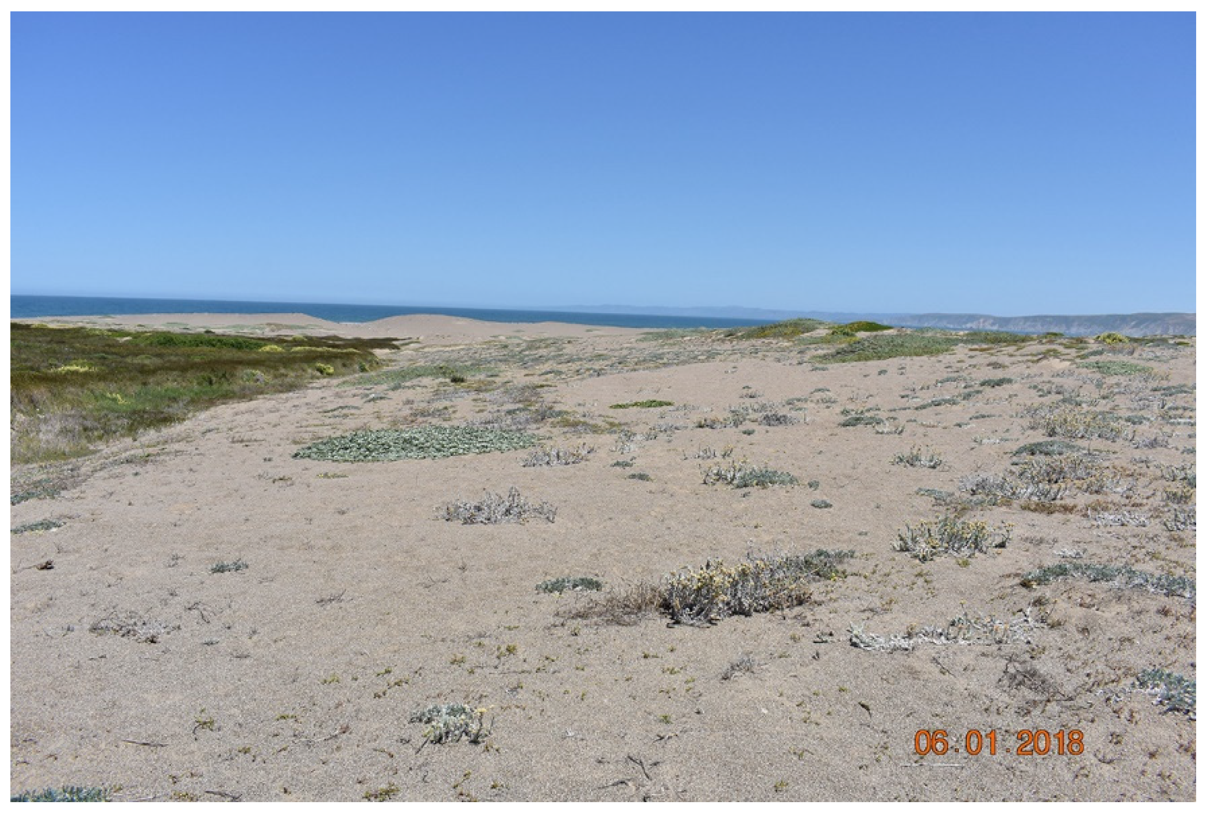 Diversity 13 00629 g004