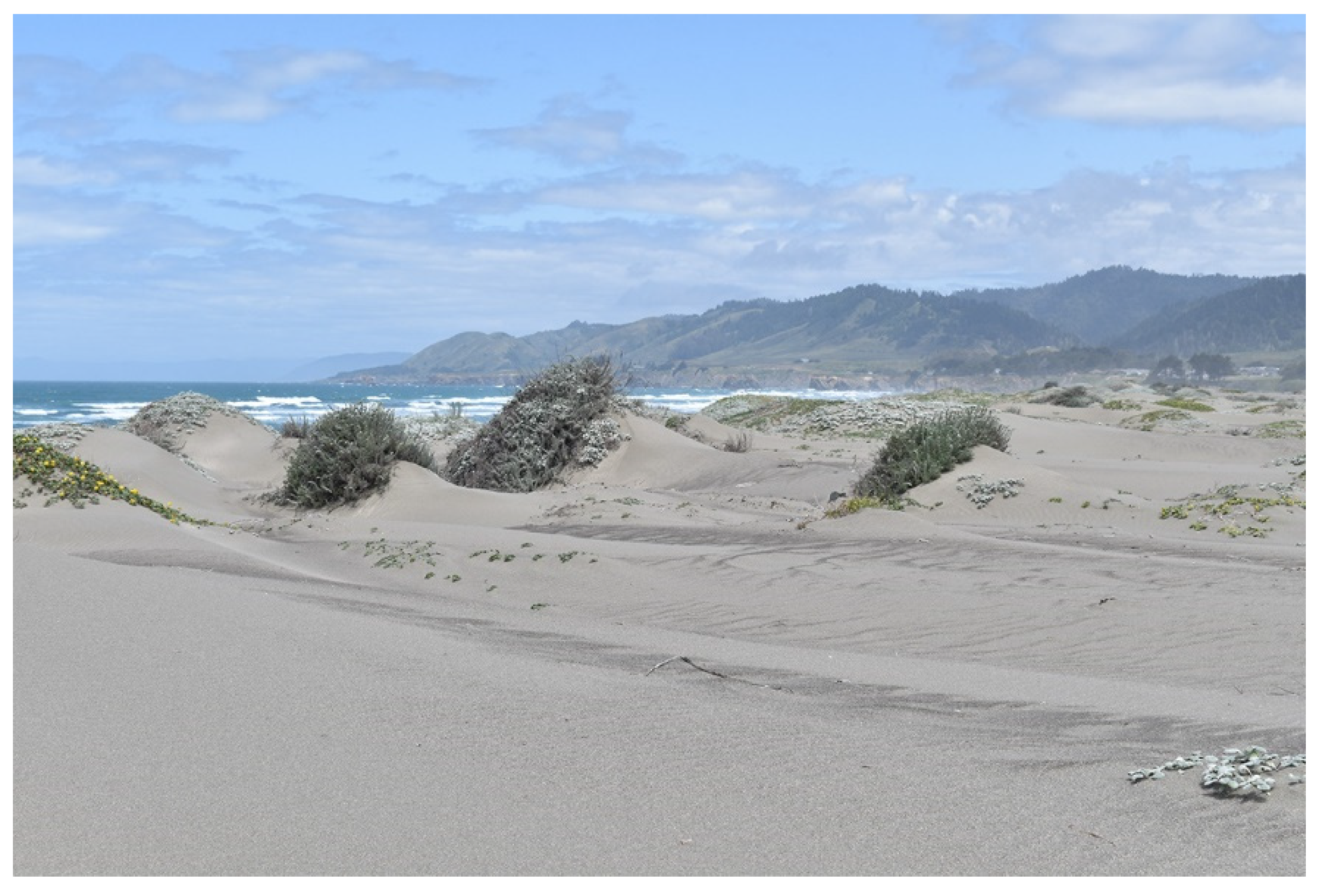 Diversity 13 00629 g005