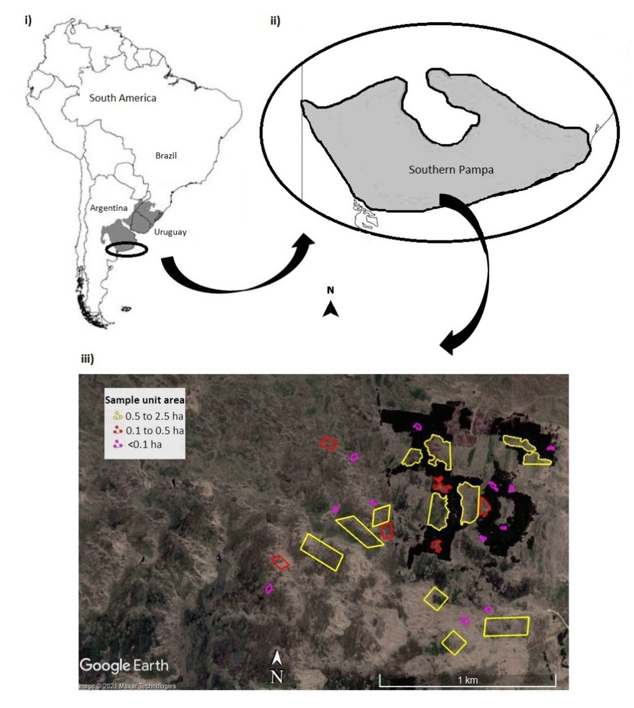 Diversity 13 00637 g001