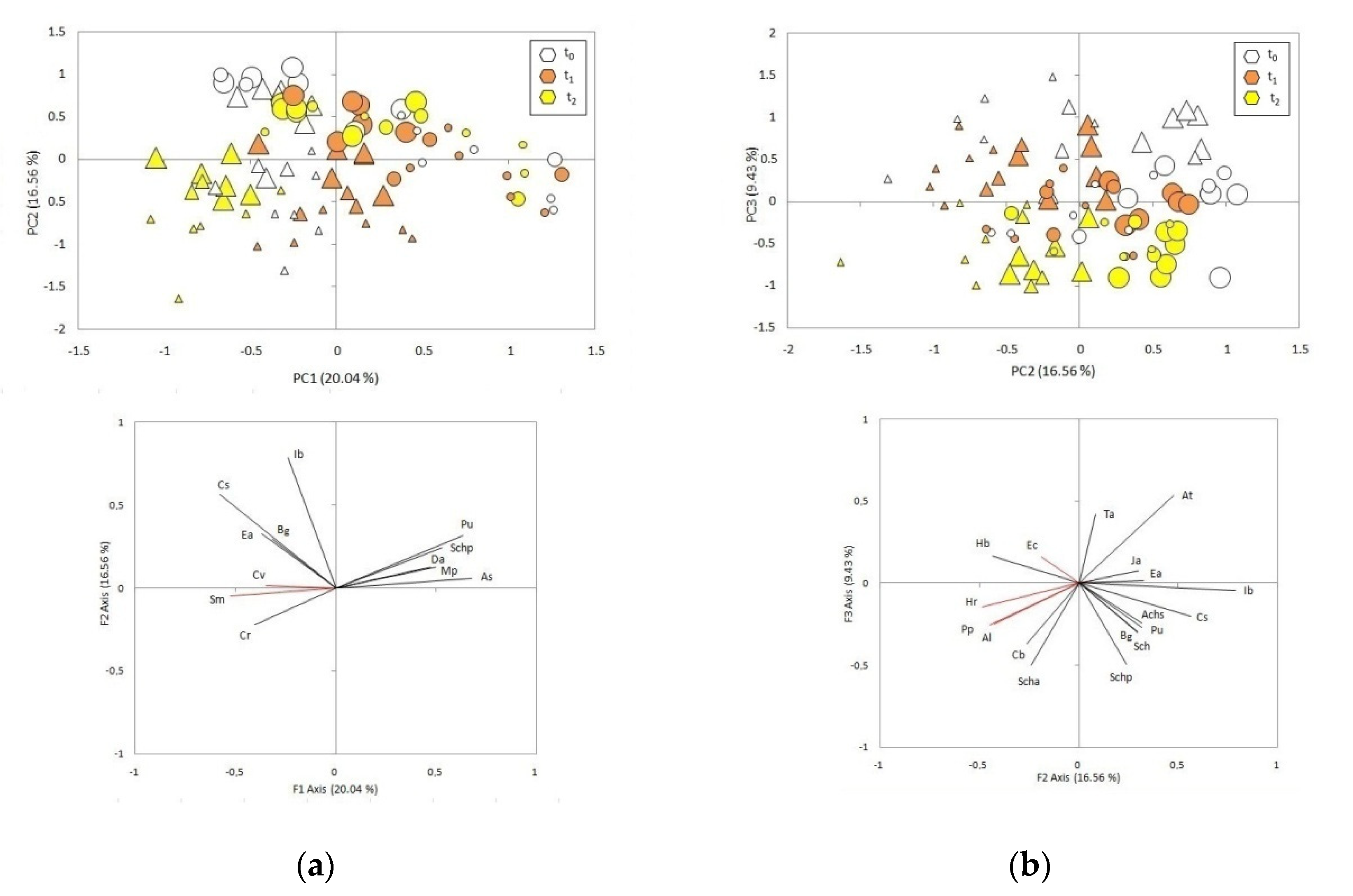 Diversity 13 00637 g002