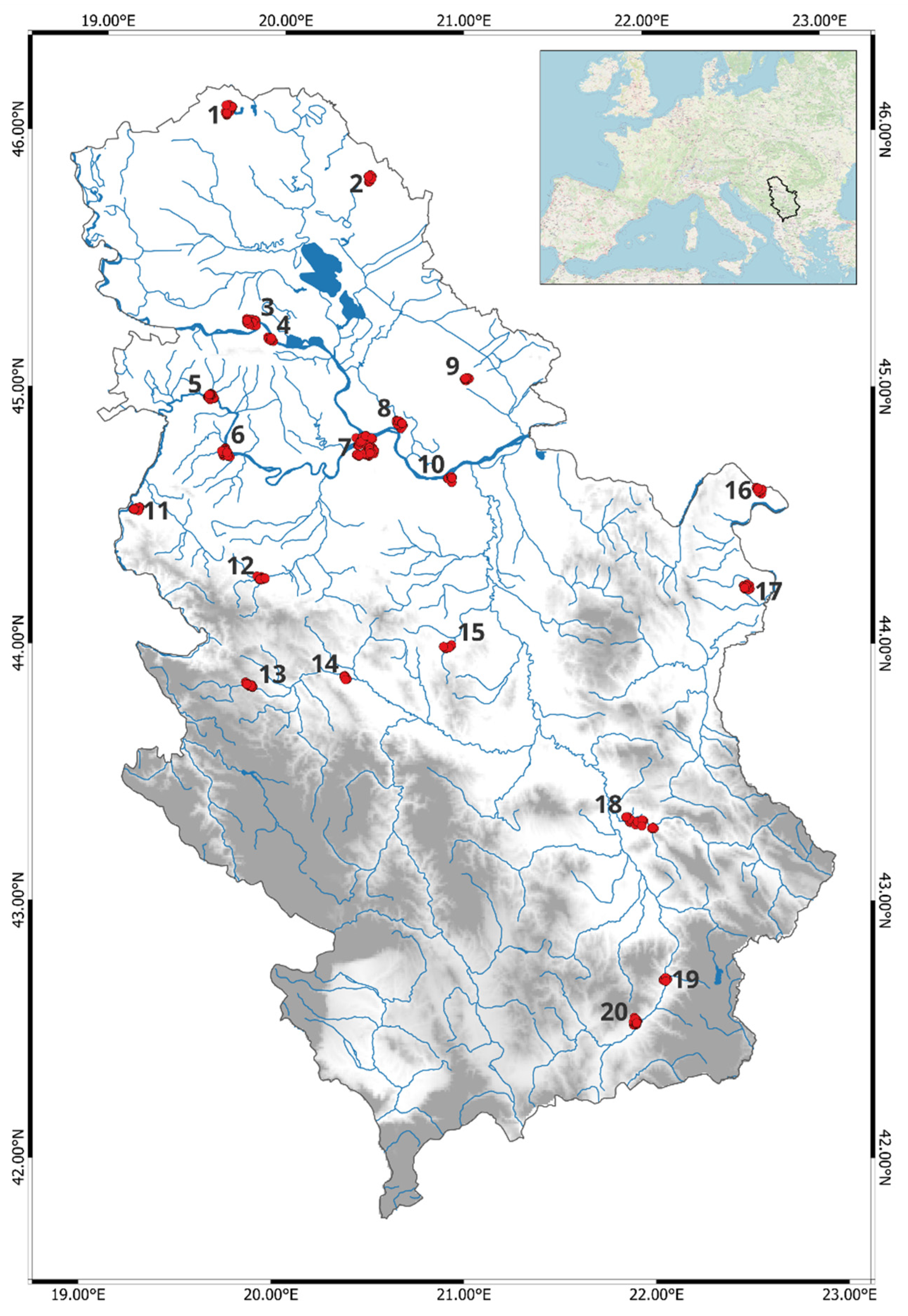 Diversity 13 00638 g001