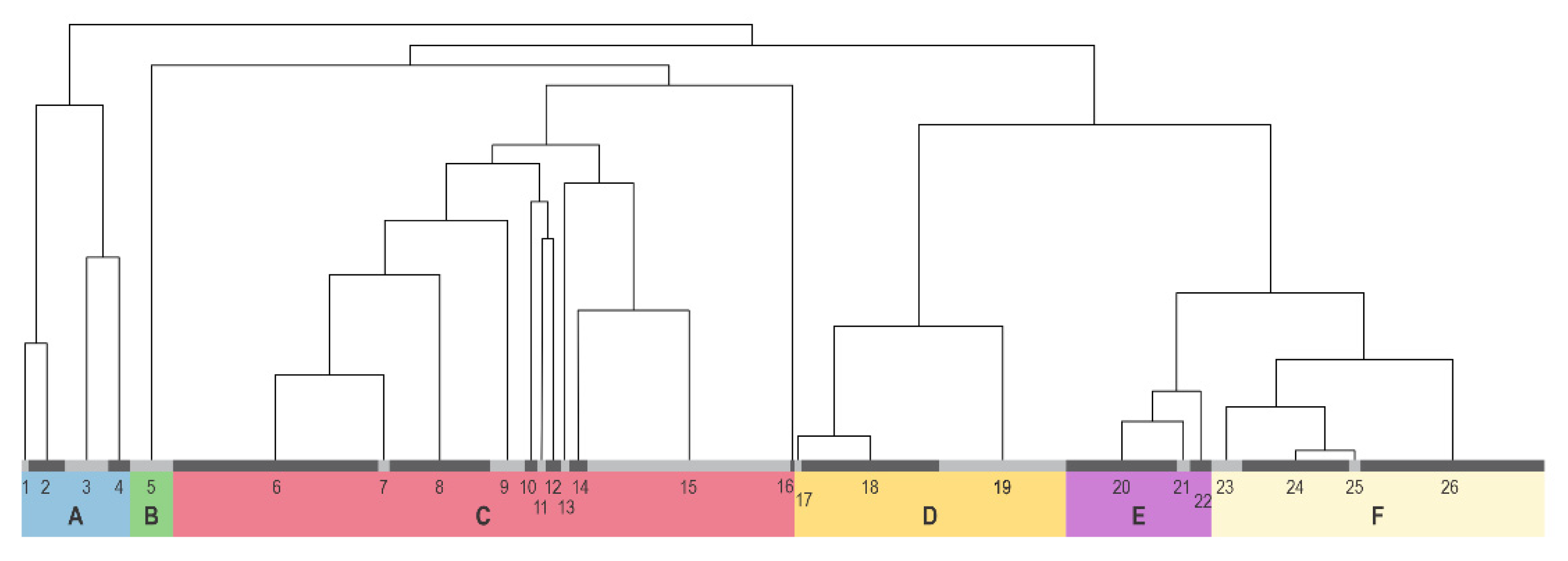 Diversity 13 00638 g002