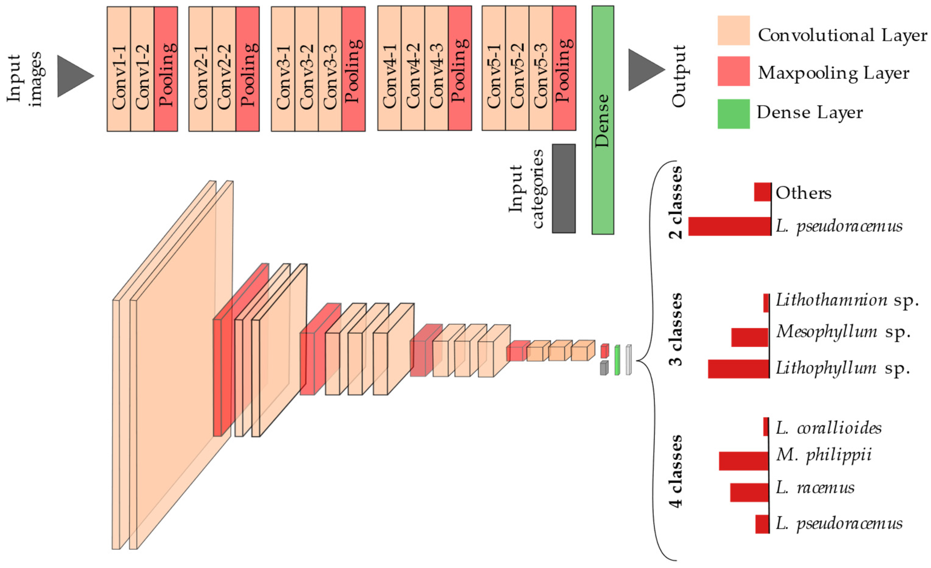Diversity 13 00640 g003