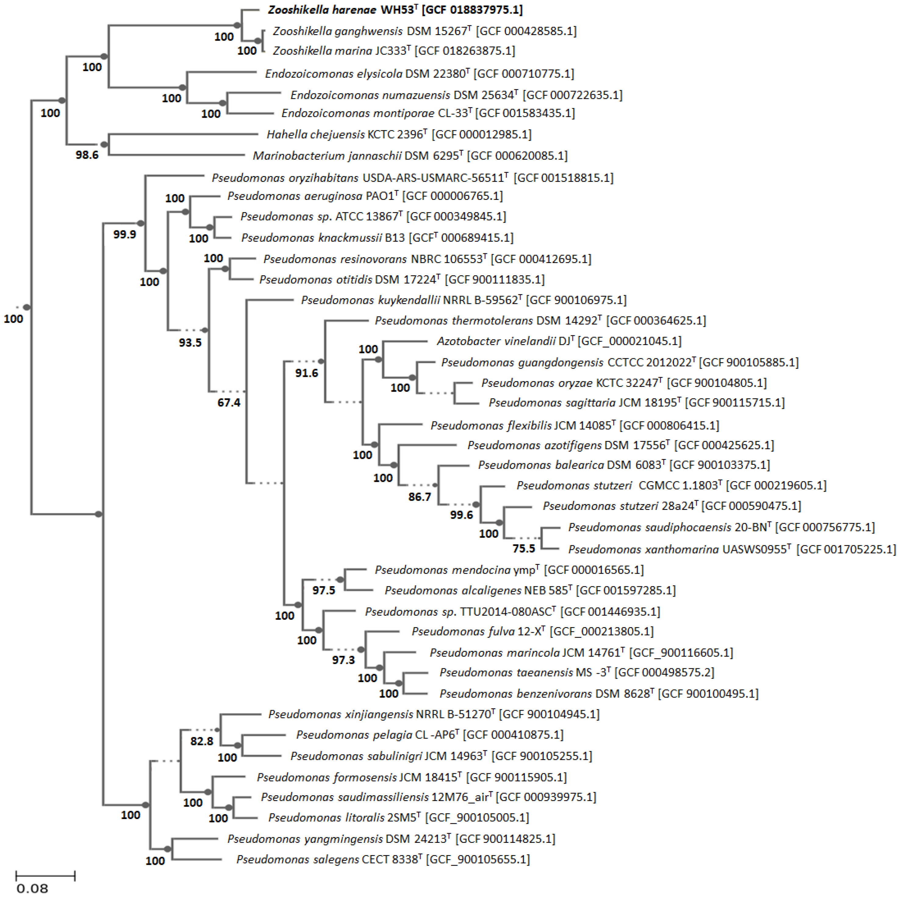 Diversity 13 00641 g004