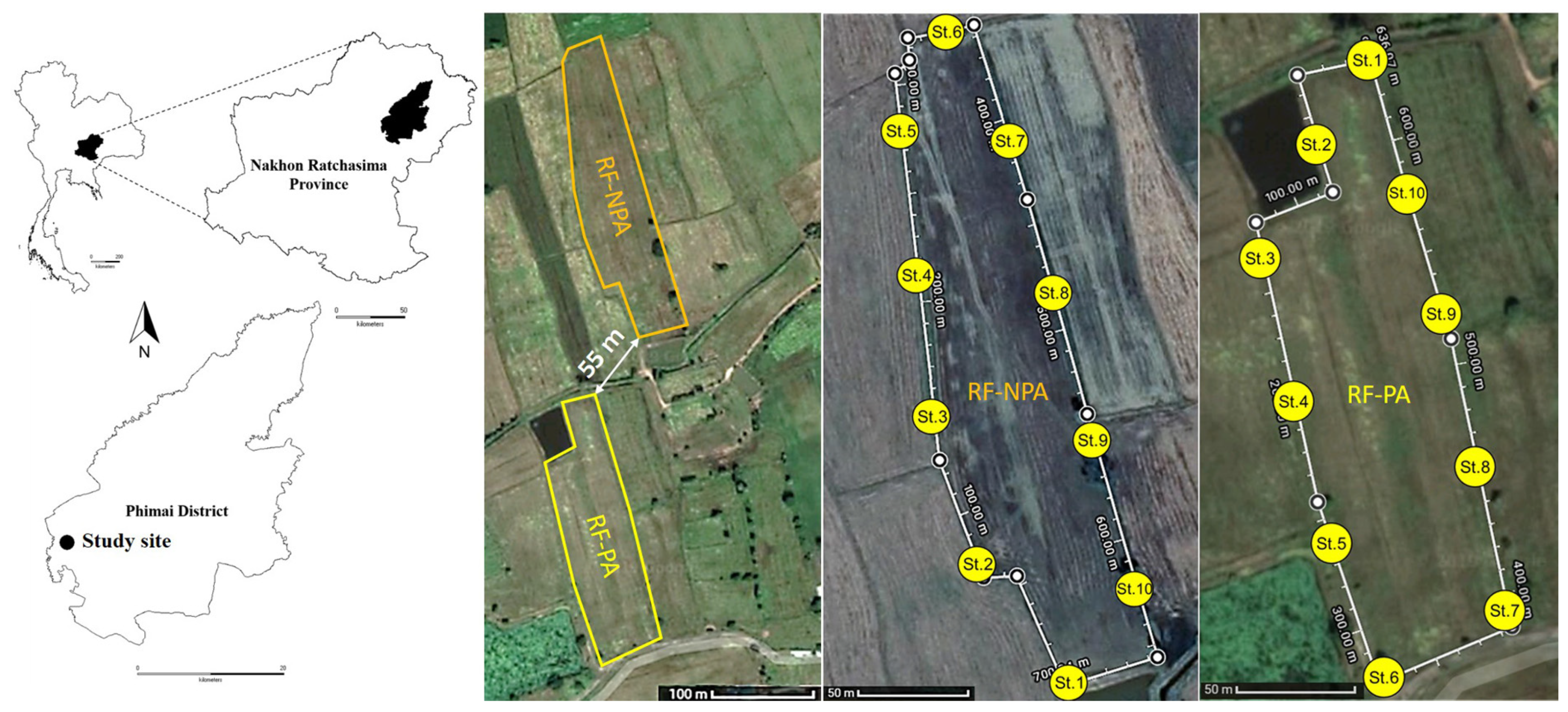 Diversity 13 00644 g001