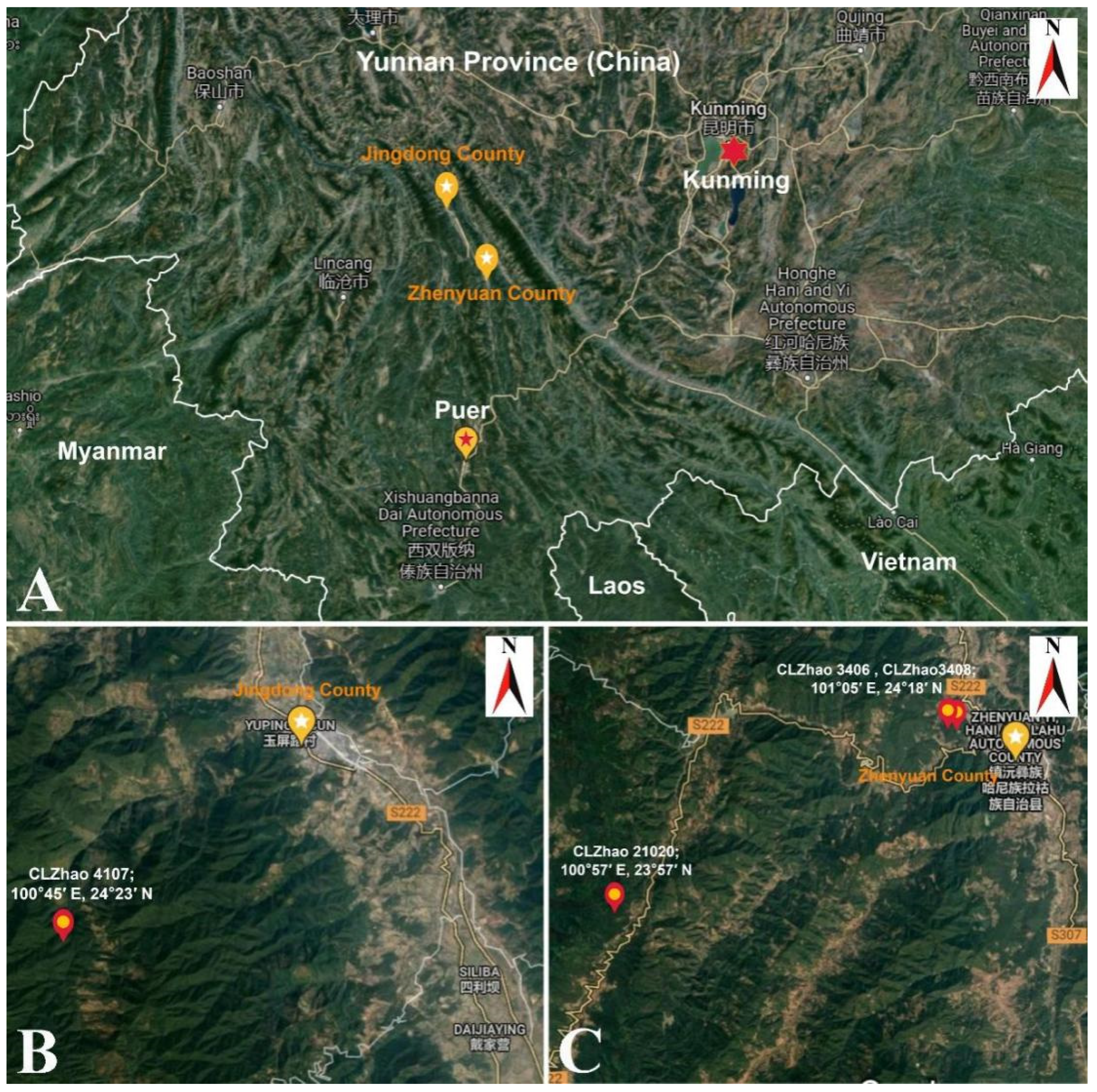 Diversity 13 00646 g001