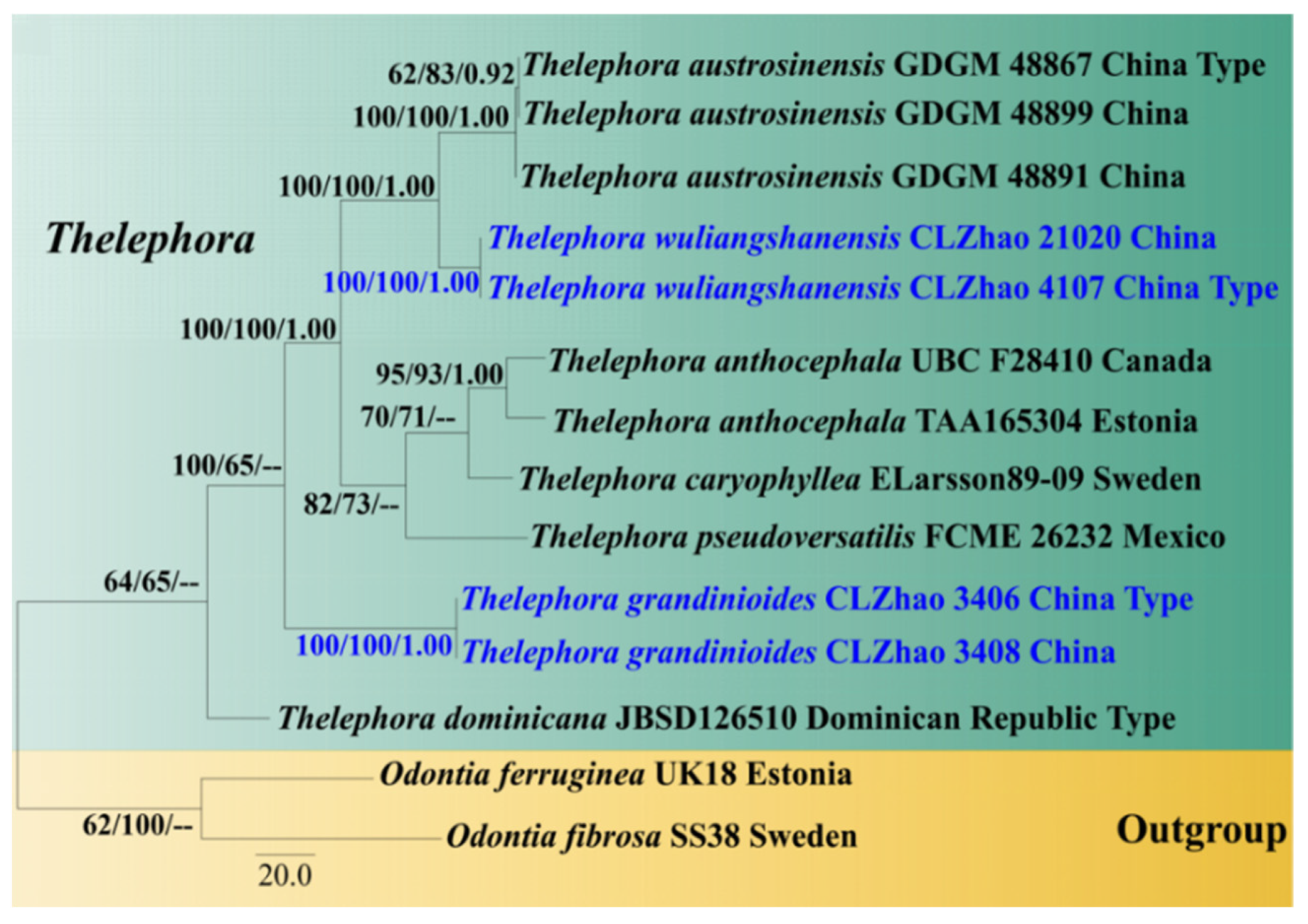 Diversity 13 00646 g002