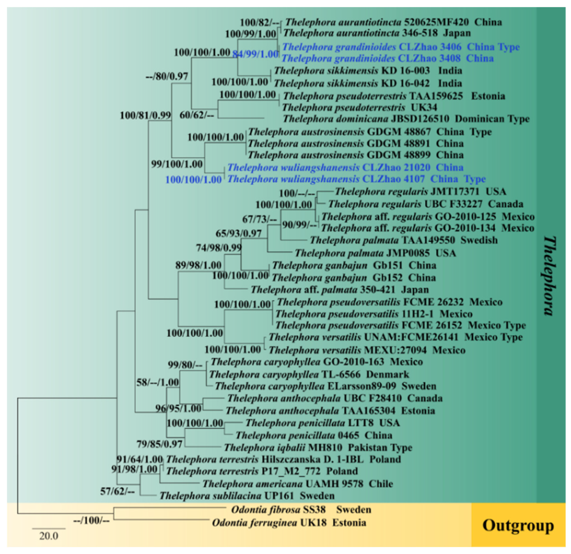 Diversity 13 00646 g003