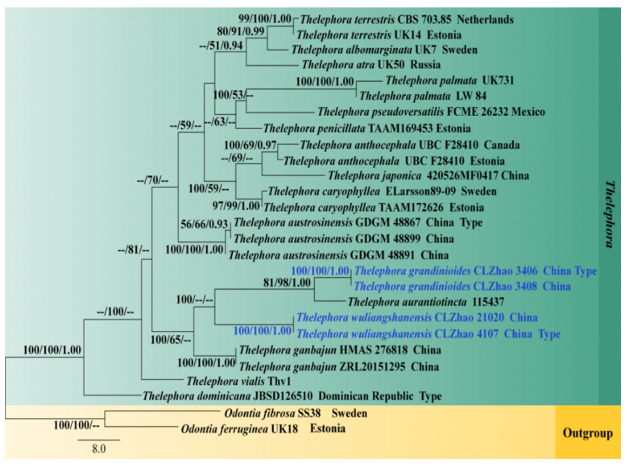 Diversity 13 00646 g004