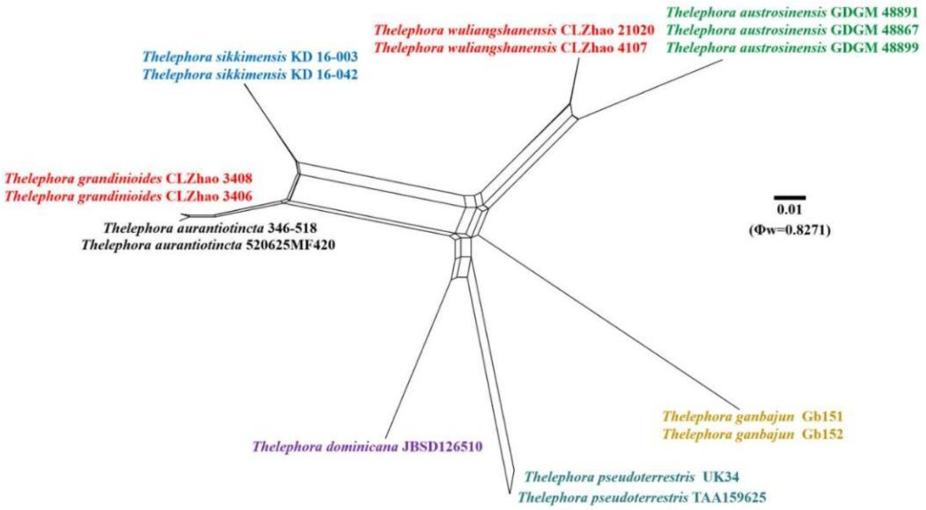 Diversity 13 00646 g005